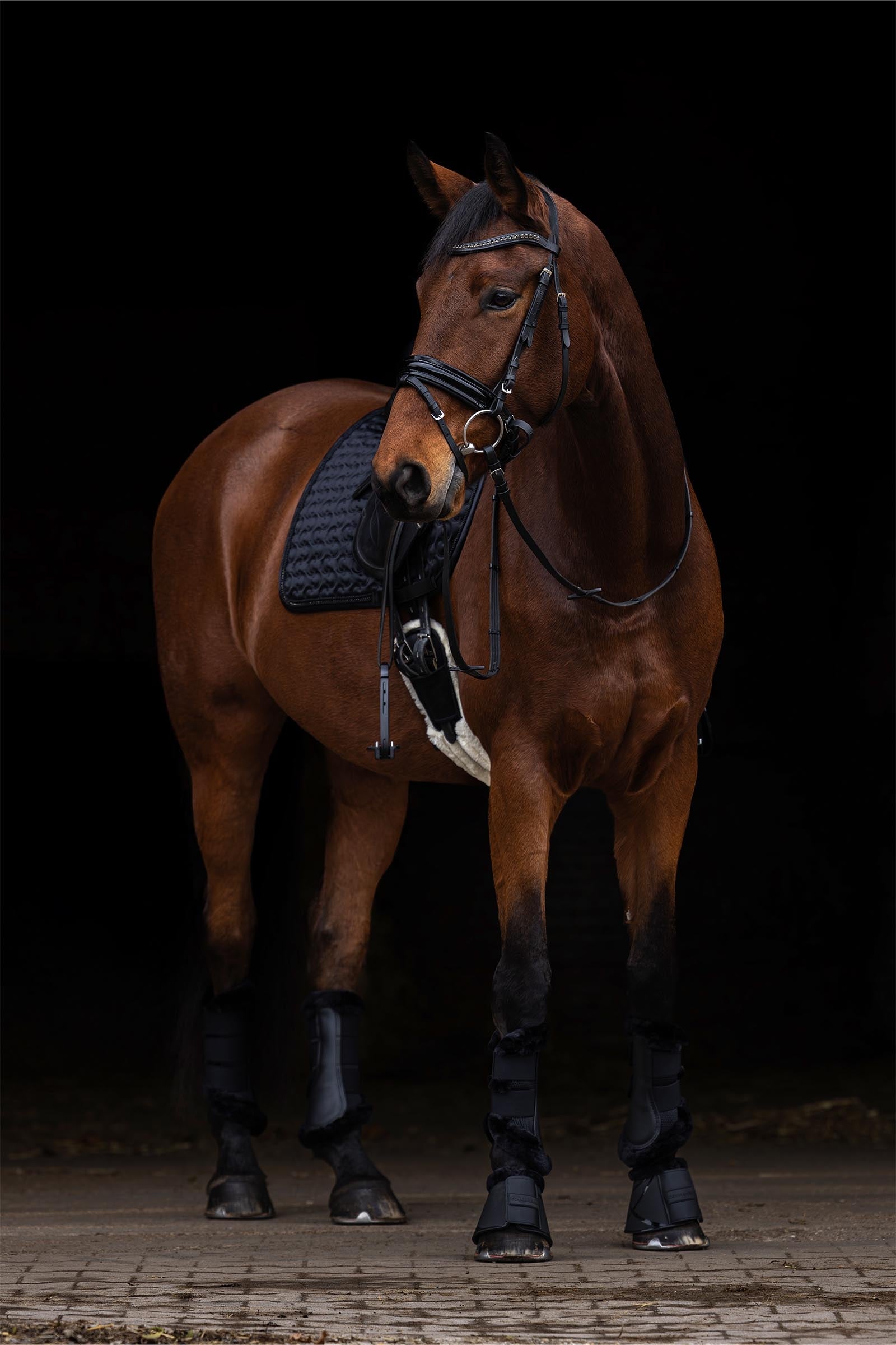 Covalliero All Purpose Saddle Pad With Glitter Appliqués Saddle Pads