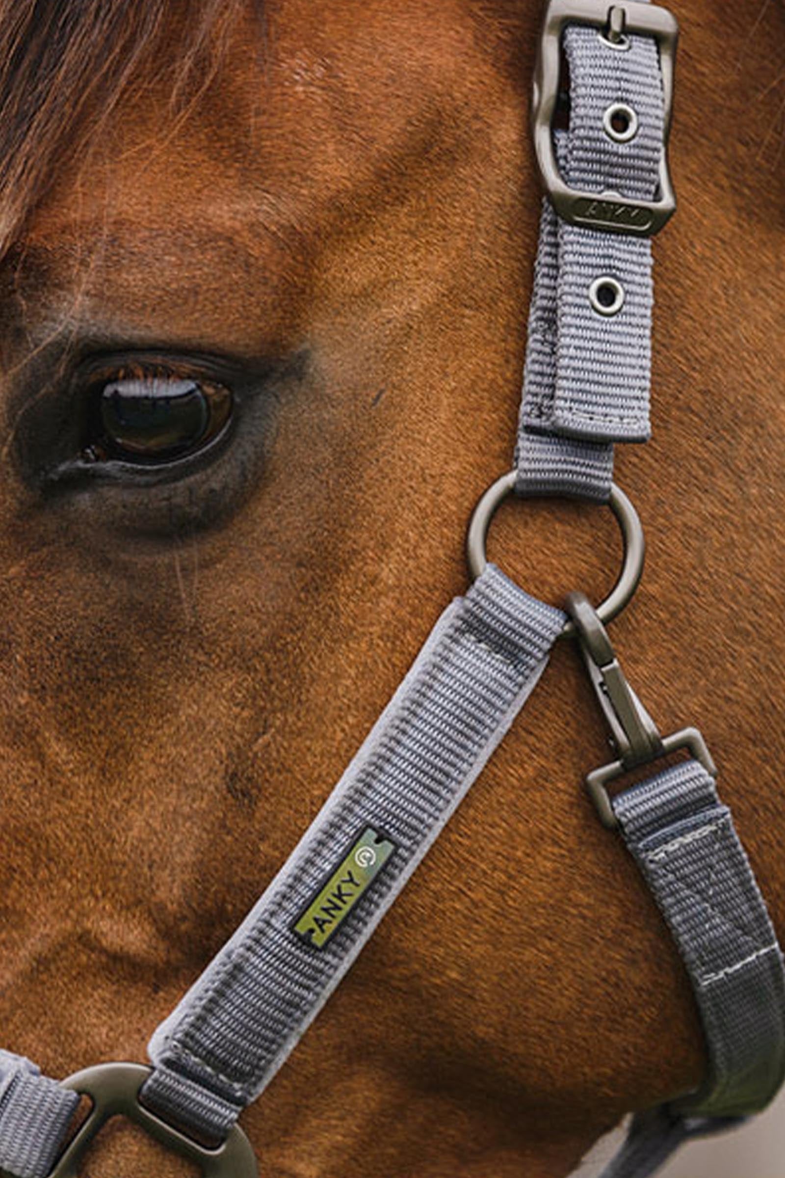 Anky ANKY Stones Halter & Lead Set Halters & Leads