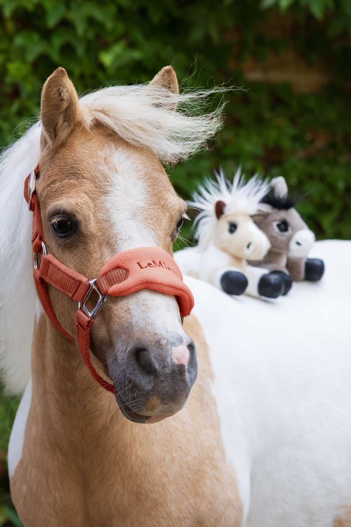 LeMieux Tiny Beanie Pony Gifts & Toys