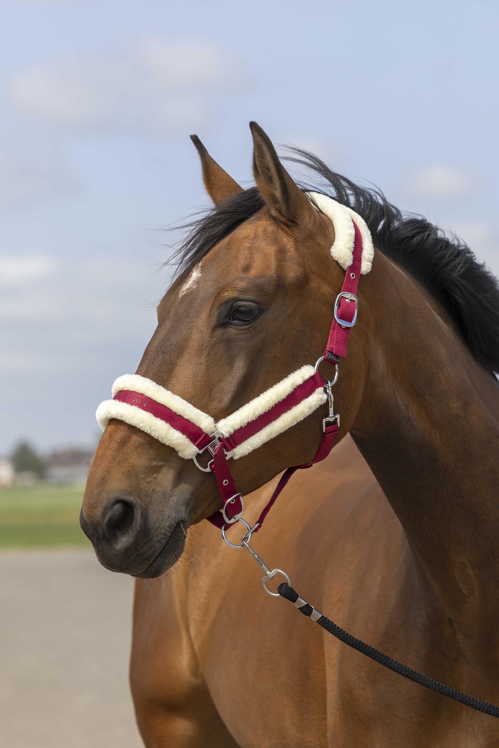 EQUITHÈME Nylon Mouton halster Halsters & Halstertouwen
