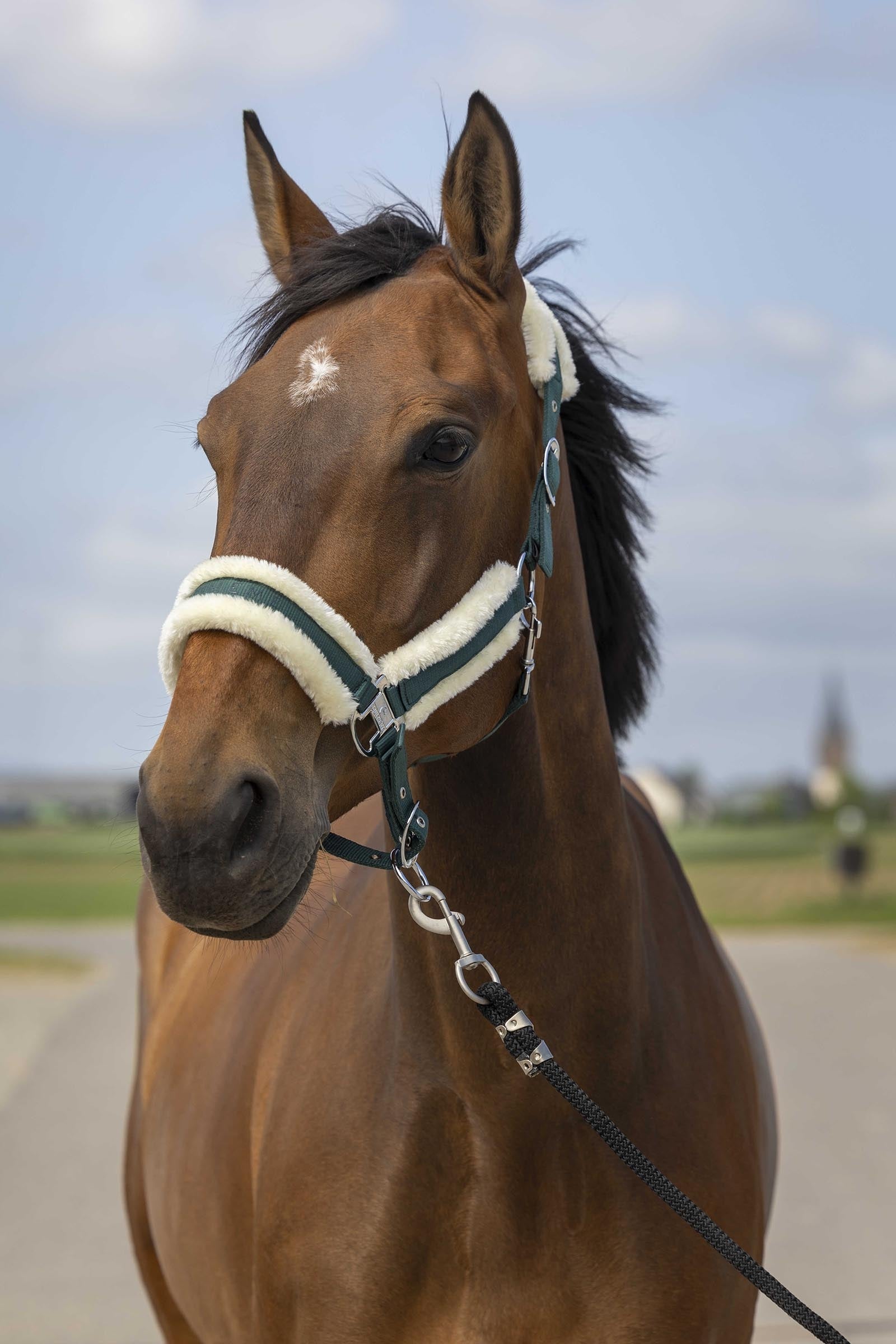 EQUITHÈME Nylon Mouton halster Halsters & Halstertouwen