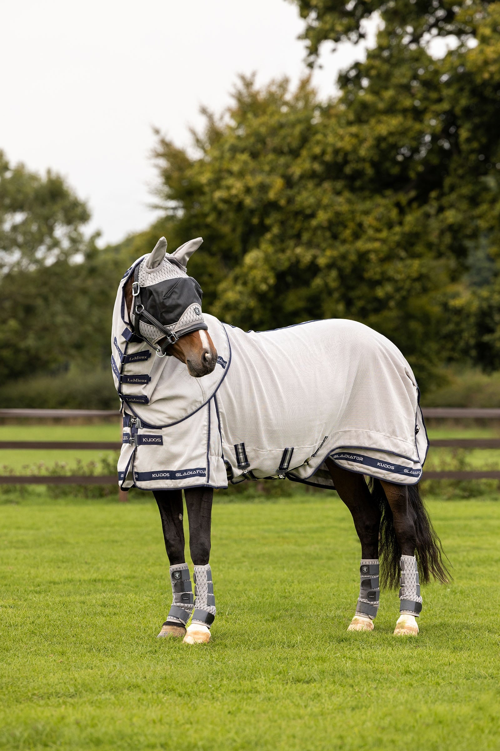 LeMieux Kudos Gladiator vliegendeken Paardendekens