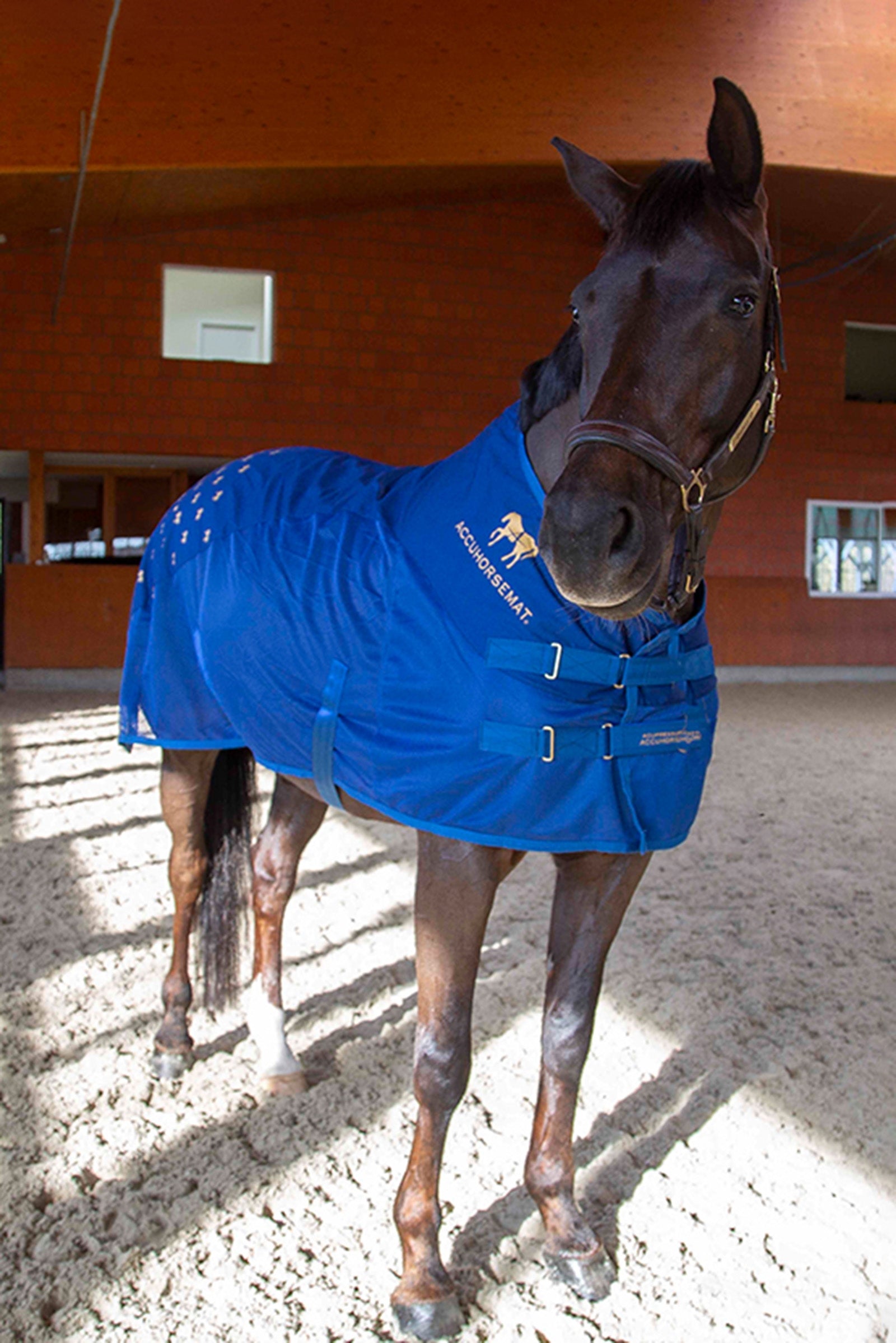 Accuhorsemat Cooler Paardendekens