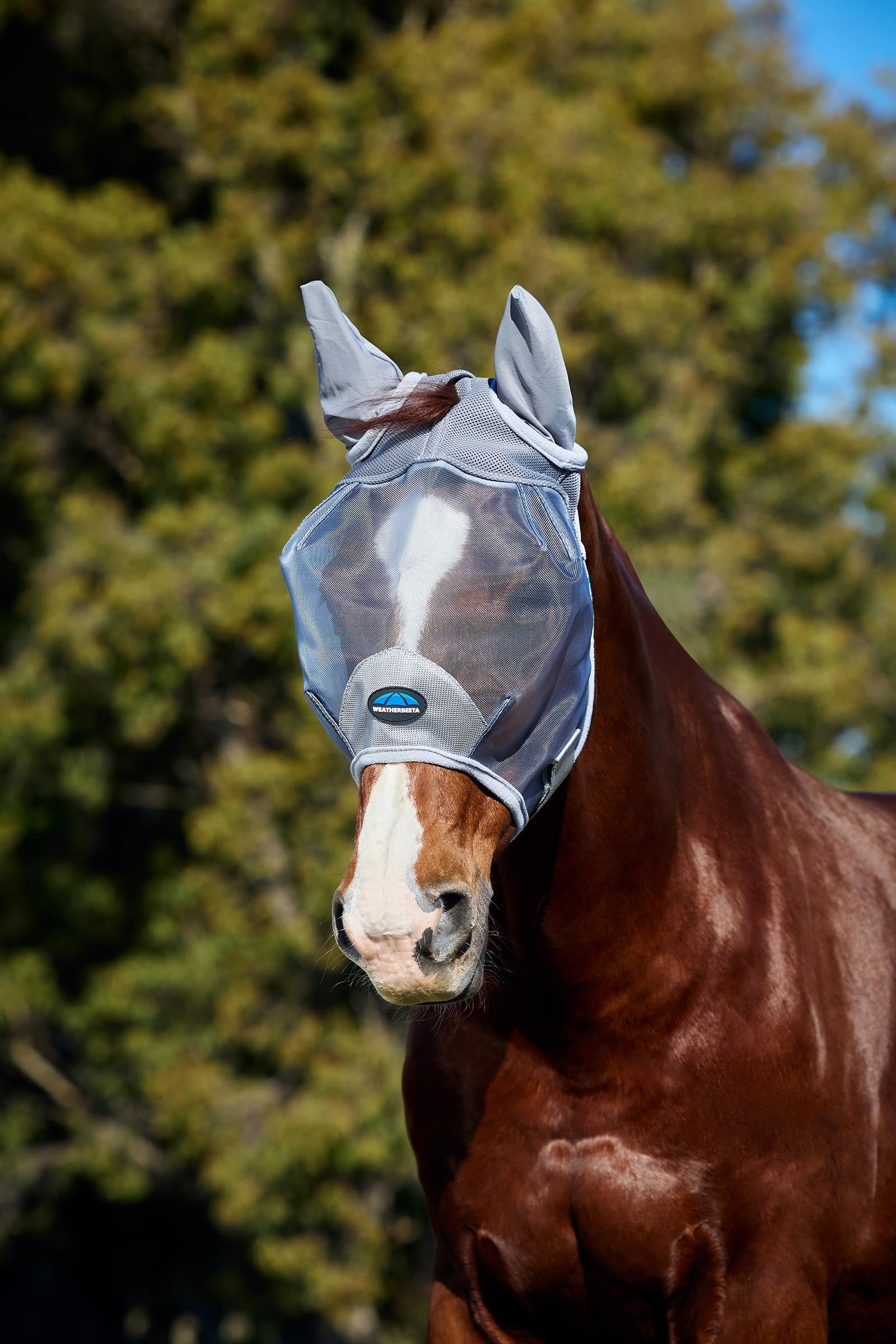 Weatherbeeta Comfitec Fine Mesh Fly Mask With Ears Antifly Protection for Horses