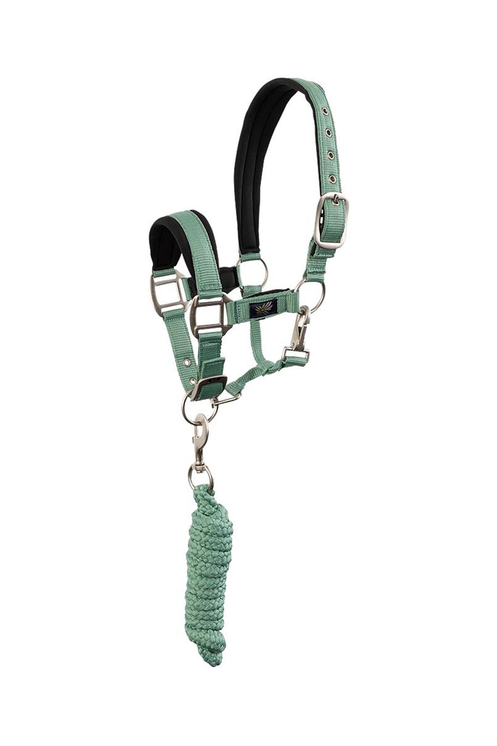 BR halster voor pony / mini horse met halstertouw Halsters & Halstertouwen