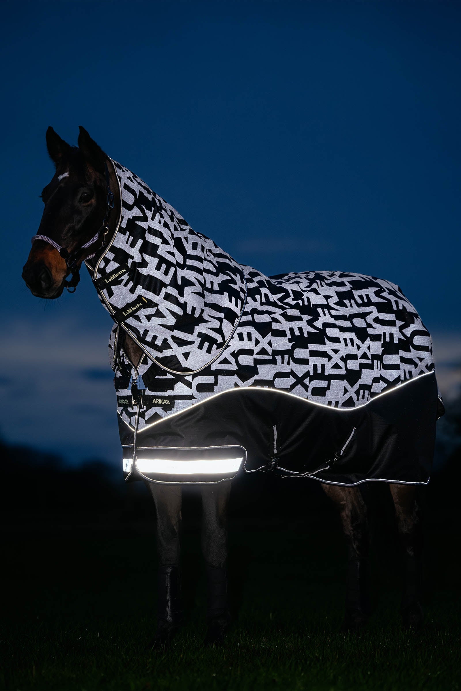 LeMieux Arika Reflective Turnout Rug With Detachable Neck, 100 g Paardendekens