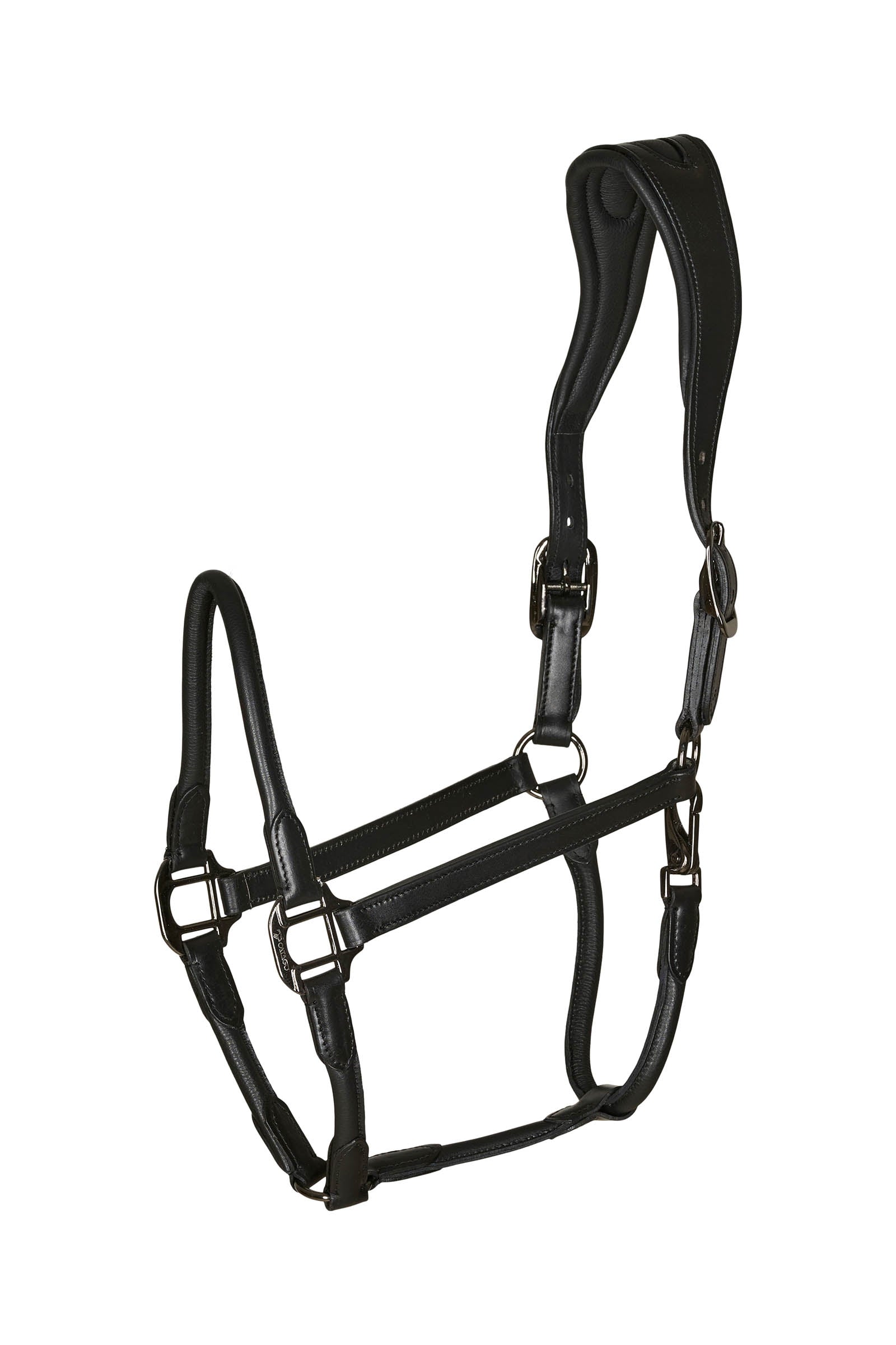 Catago leather halter with round-stitched noseband Halsters & Halstertouwen