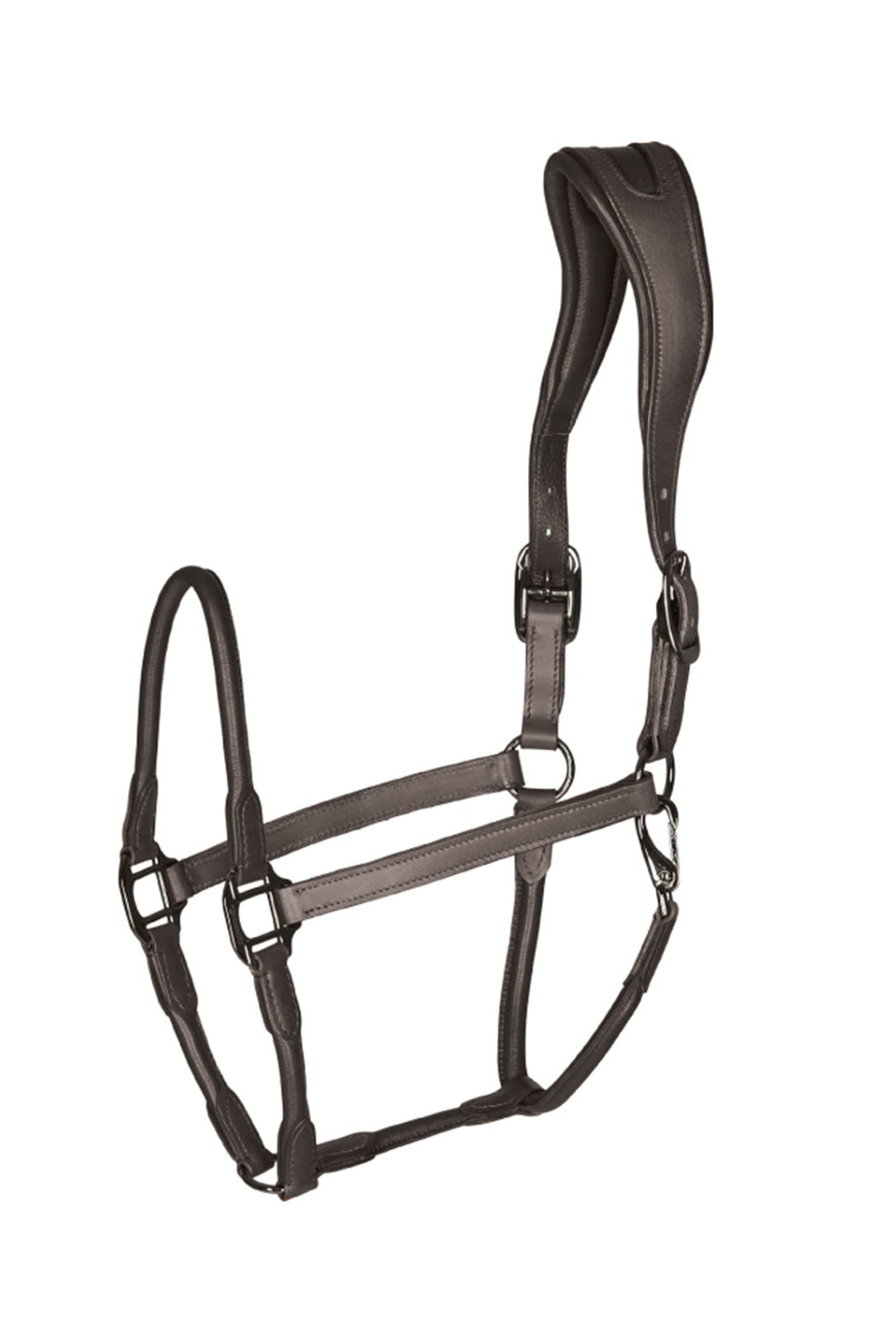 Catago leather halter with round-stitched noseband Halsters & Halstertouwen