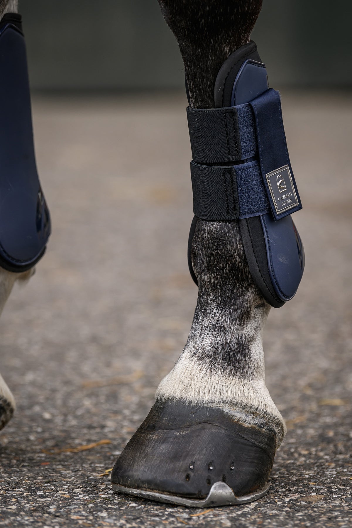 Cavallo CAVALHOLDA Tendon Boots Leg & Hoof Protection