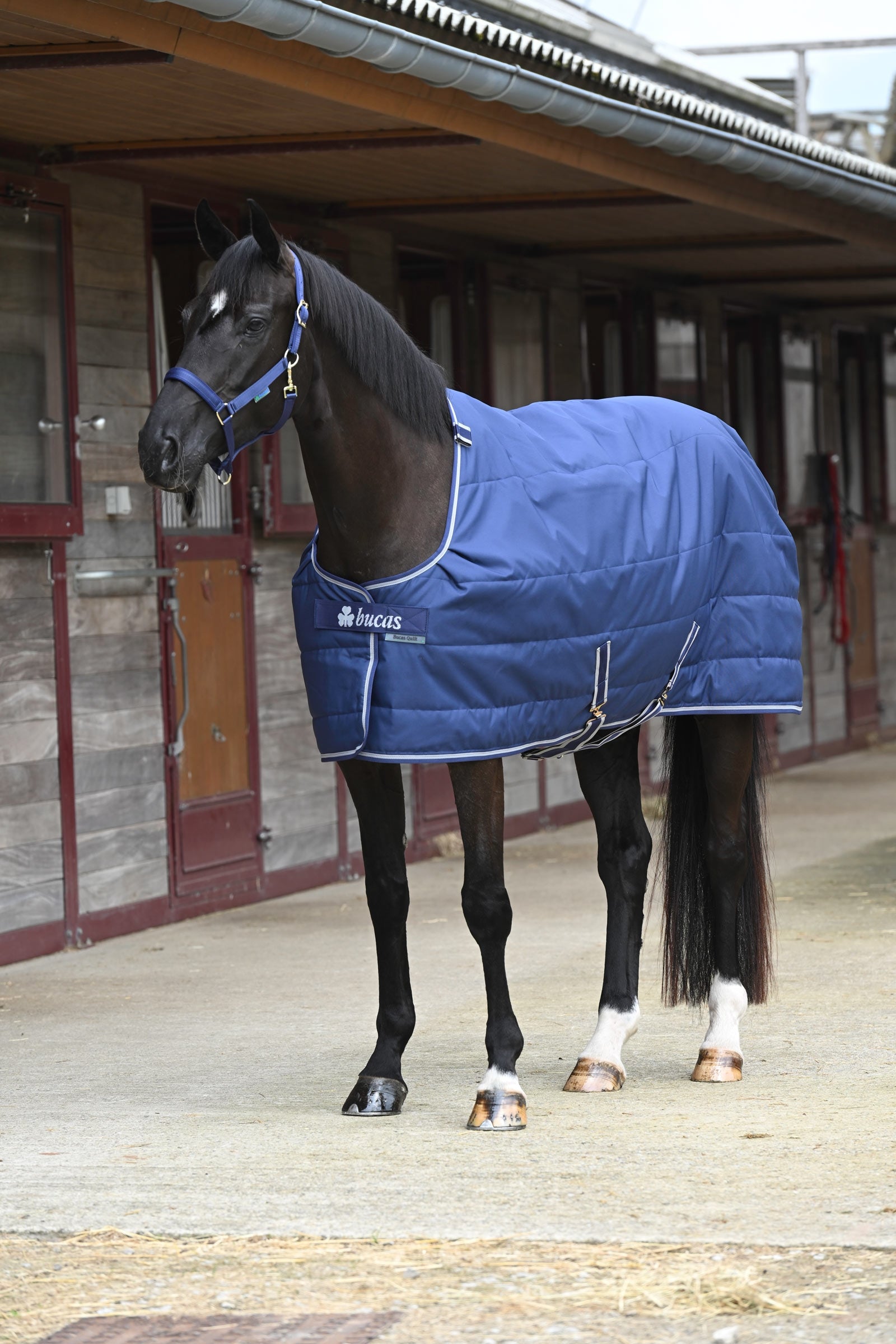 Bucas Quilt Silk-feel, 150g Paardendekens