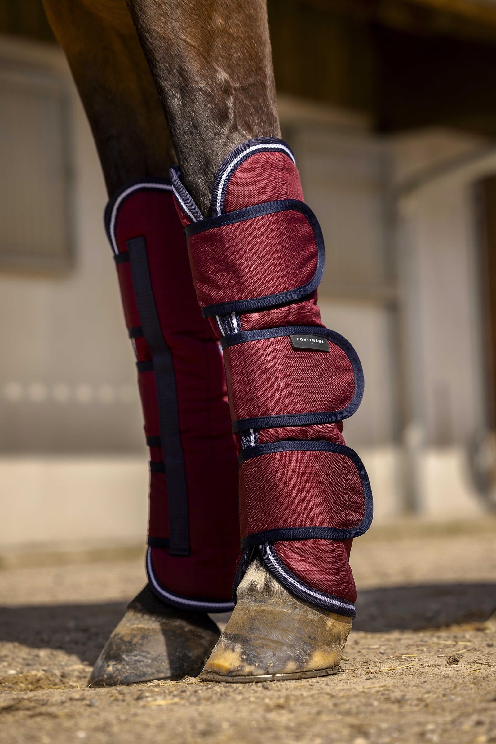 Equi Theme EQUITHÈME TYREX Aisance 1200D transportbeschermers Leg & Hoof Protection