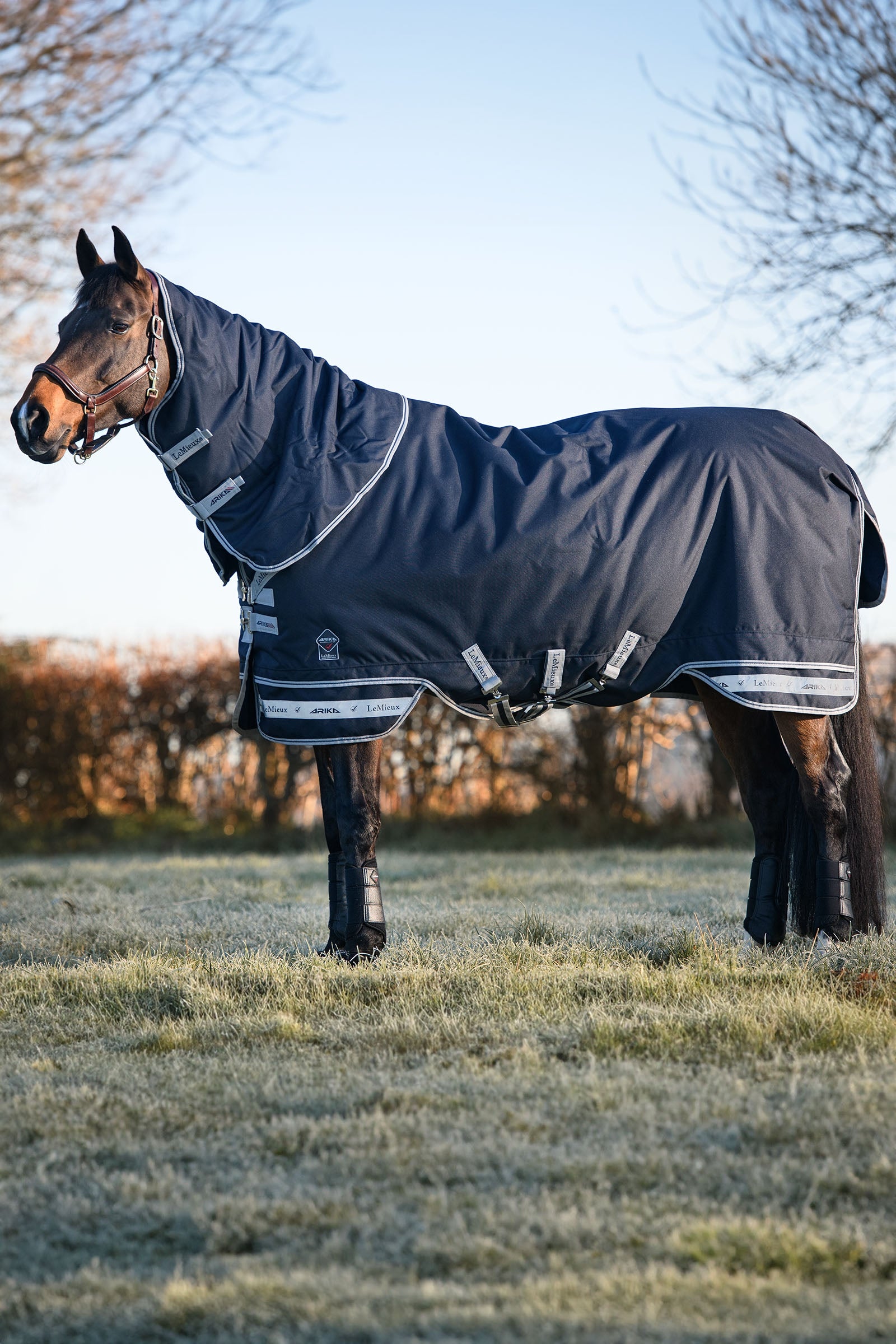 LeMieux Arika Storm-Tek 350g Paardendekens