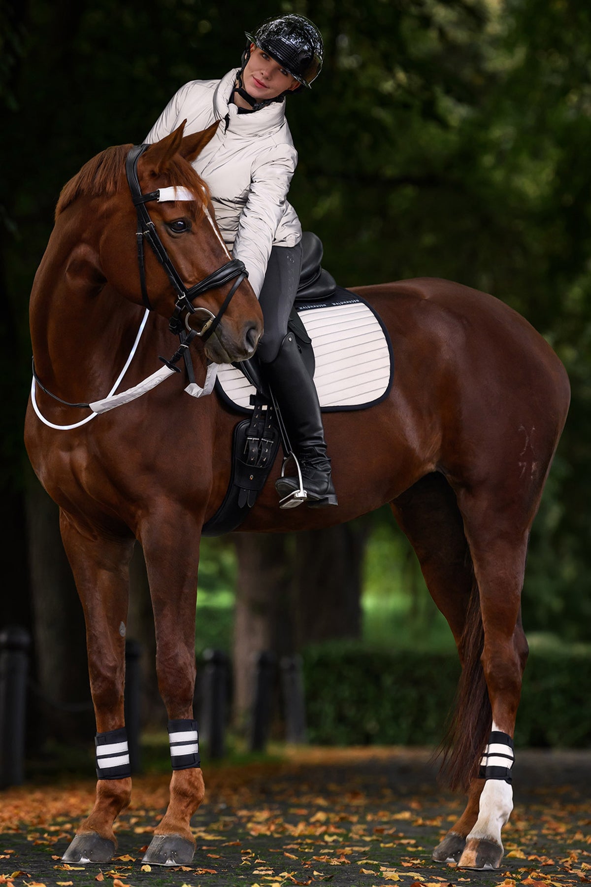 Waldhausen REFLEX Snaffle Bridle Set Reflective