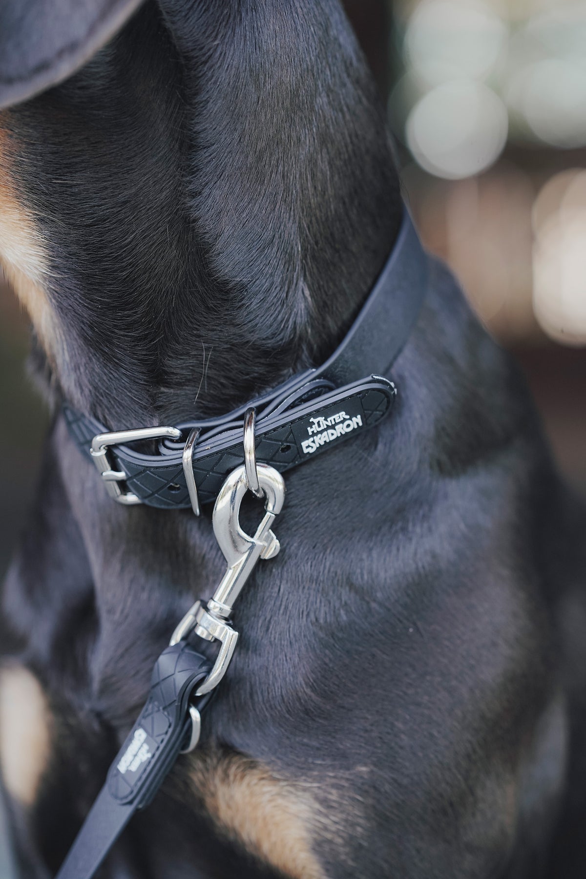 Eskadron Hunter x ESKADRON SPARK Dog Collar Dog Accesories
