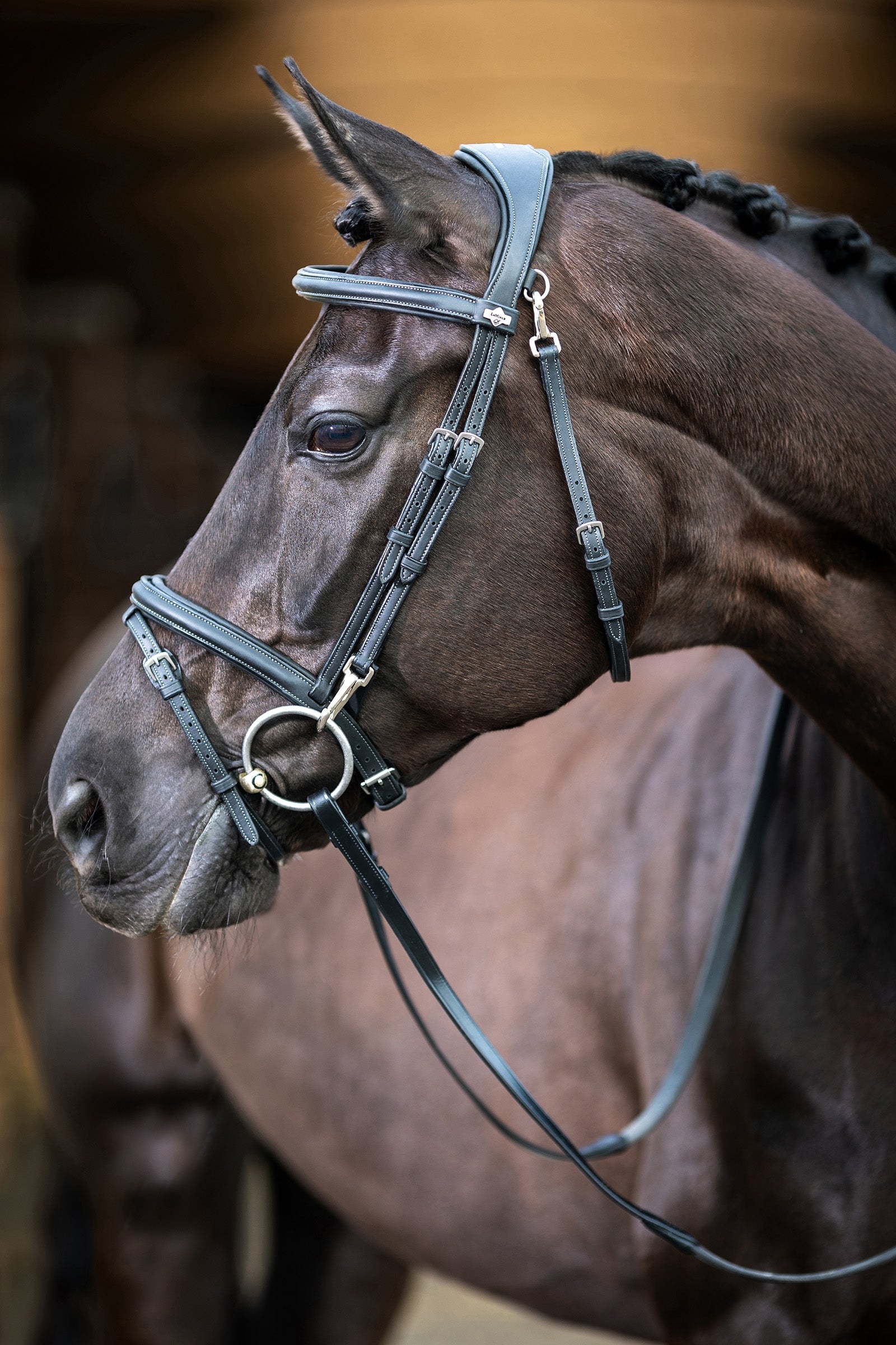 LeMieux Kudos Work Bridle Bridles & Reins