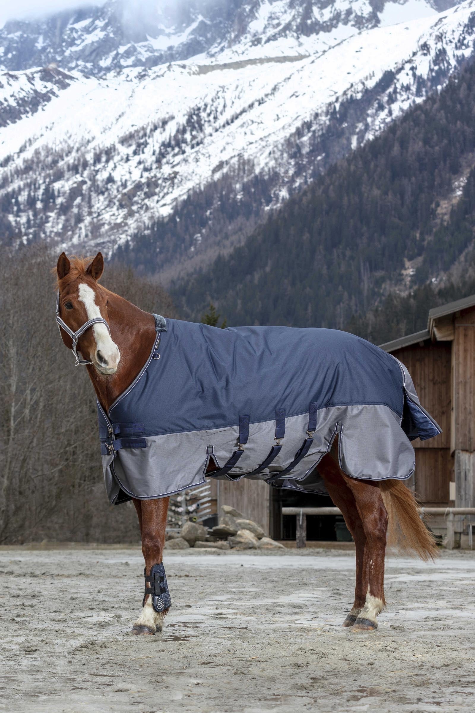 Equi Theme EQUITHÈME TYREX 600D Turnout Rug With Belly Flap, 300 g Horse Rugs