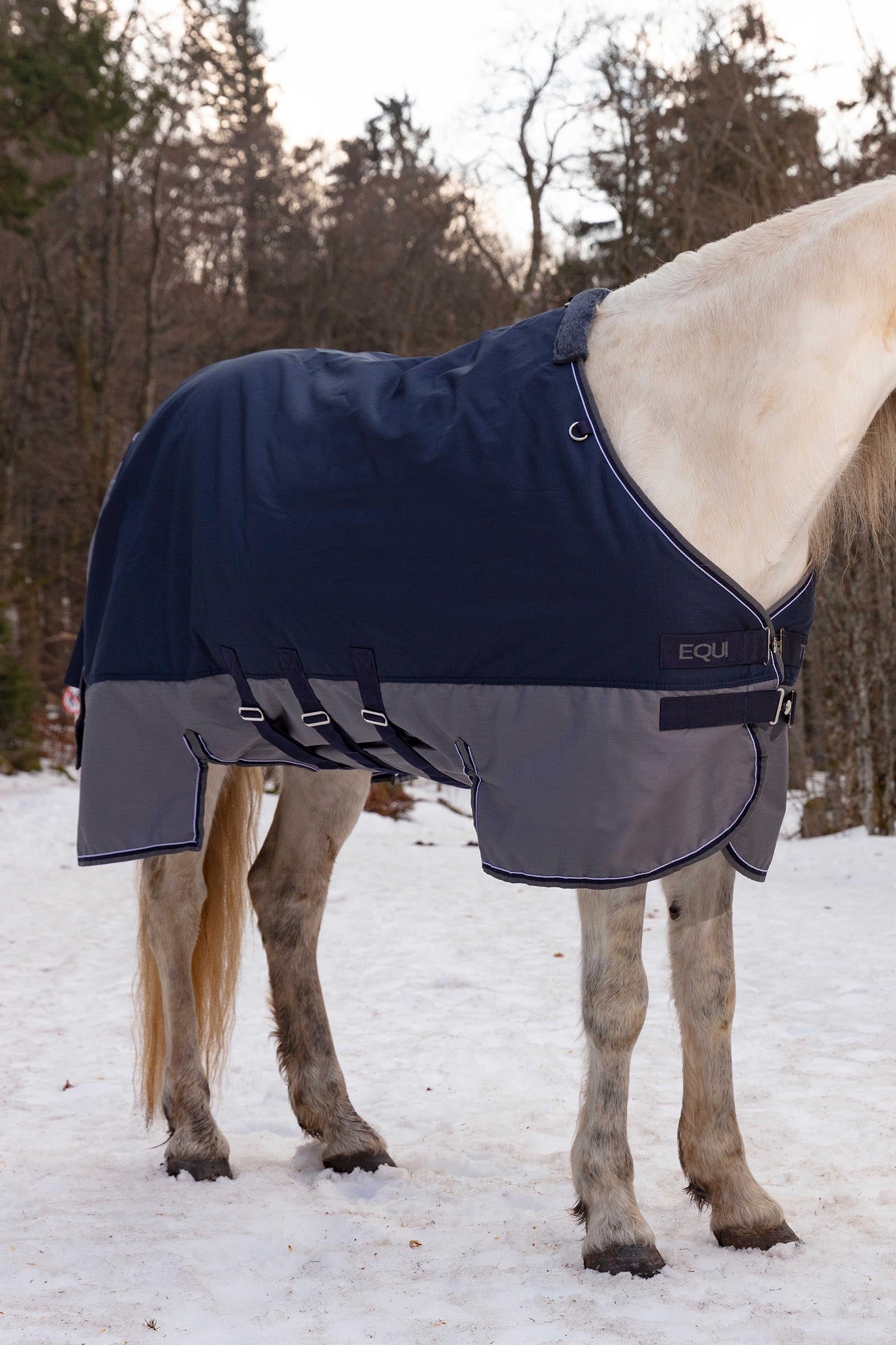 Equi Theme EQUITHÈME TYREX 600D Turnout Rug With Belly Flap, 300 g Horse Rugs