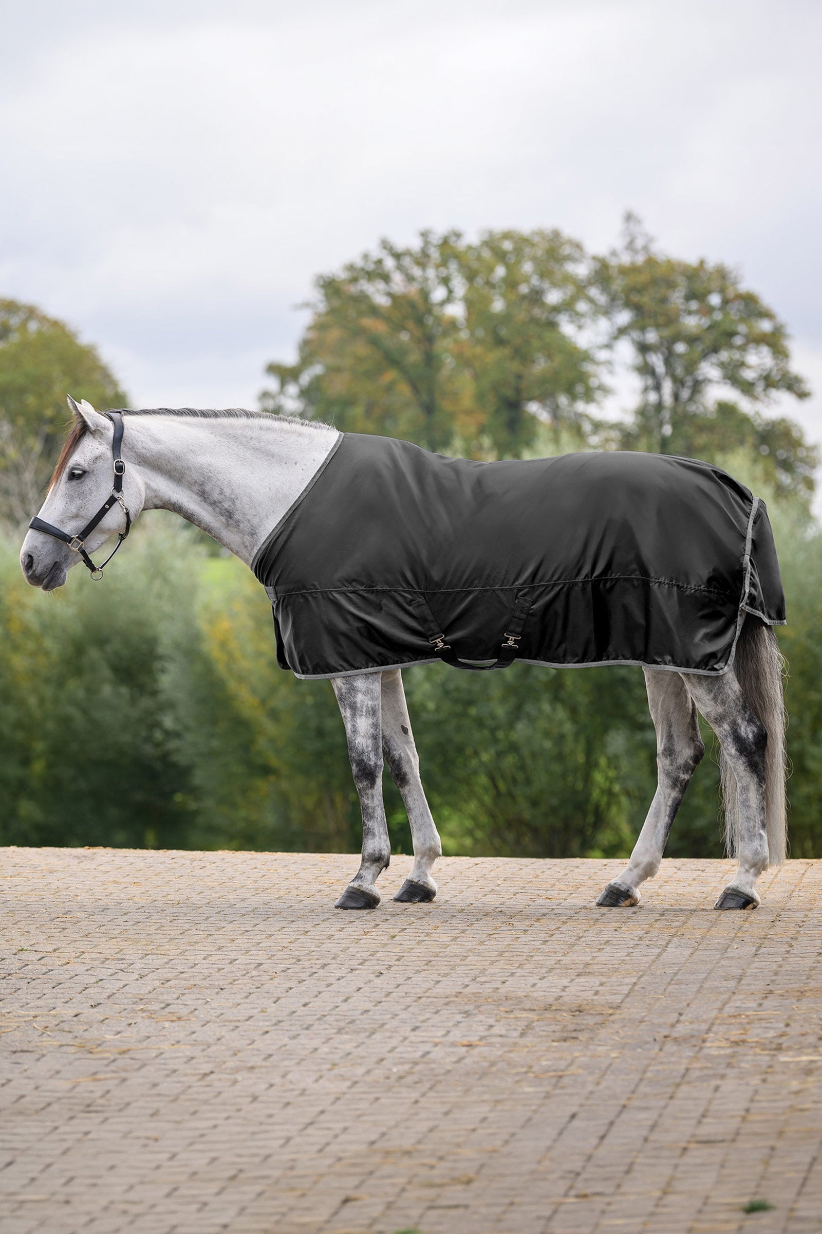 Waldhausen ECONOMIC regendeken Paardendekens