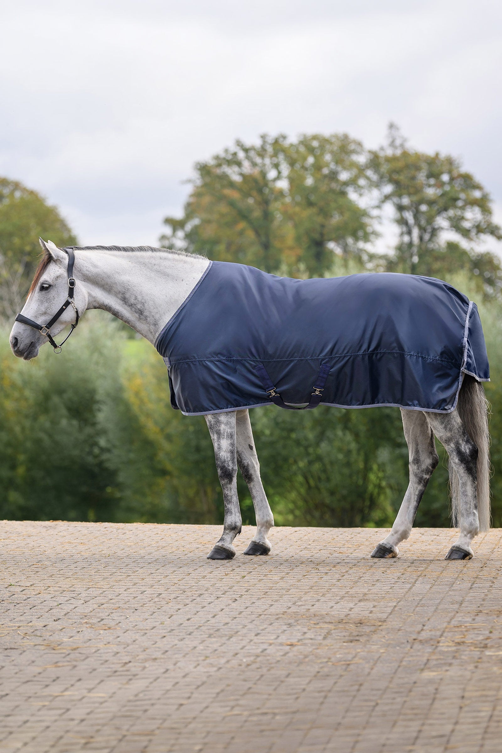Waldhausen ECONOMIC Rain Rug Horse Rugs