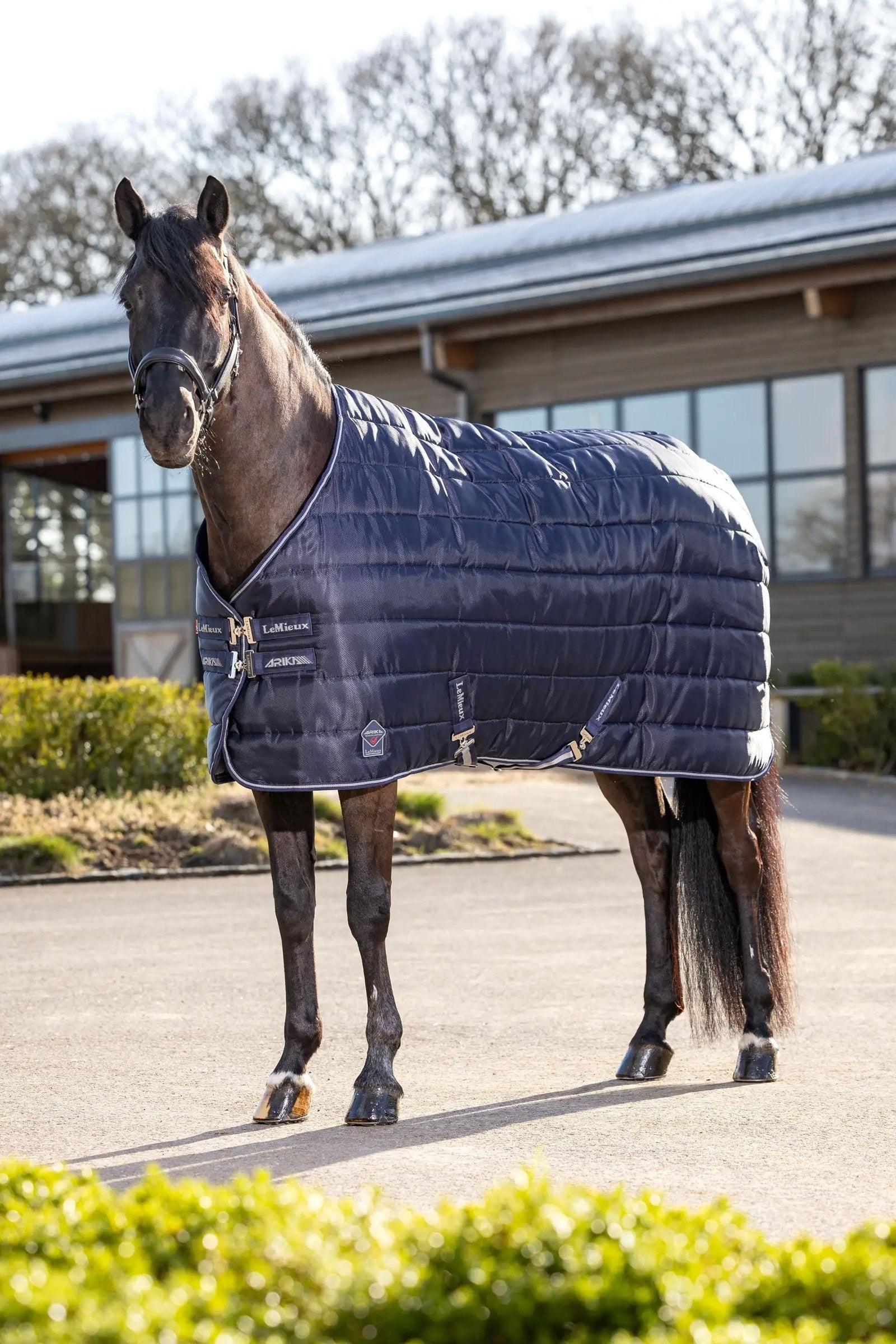 LeMieux Arika Stable-Tek Stable Rug, 200 g Paardendekens
