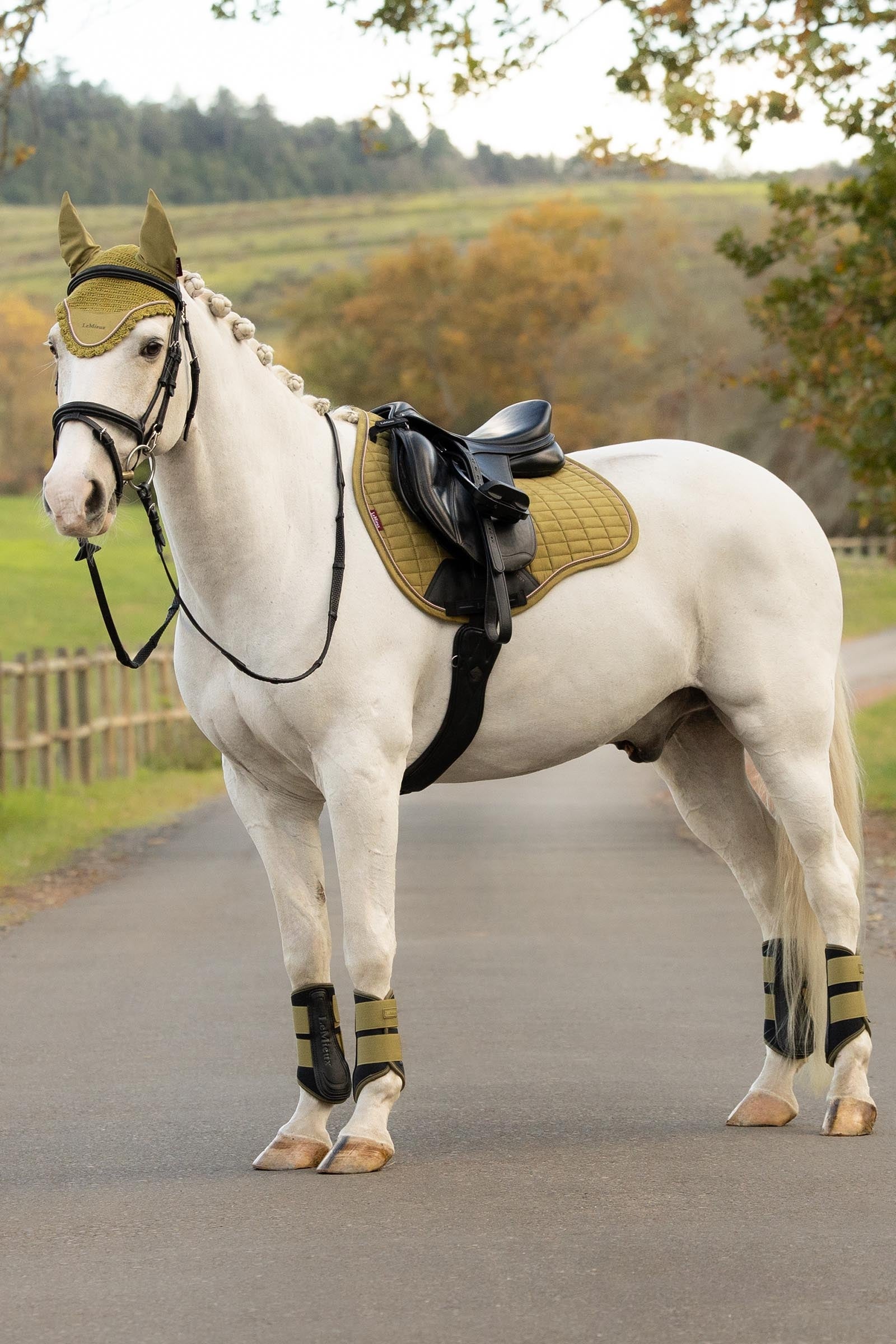 LeMieux Suede GP Square Saddle Pads