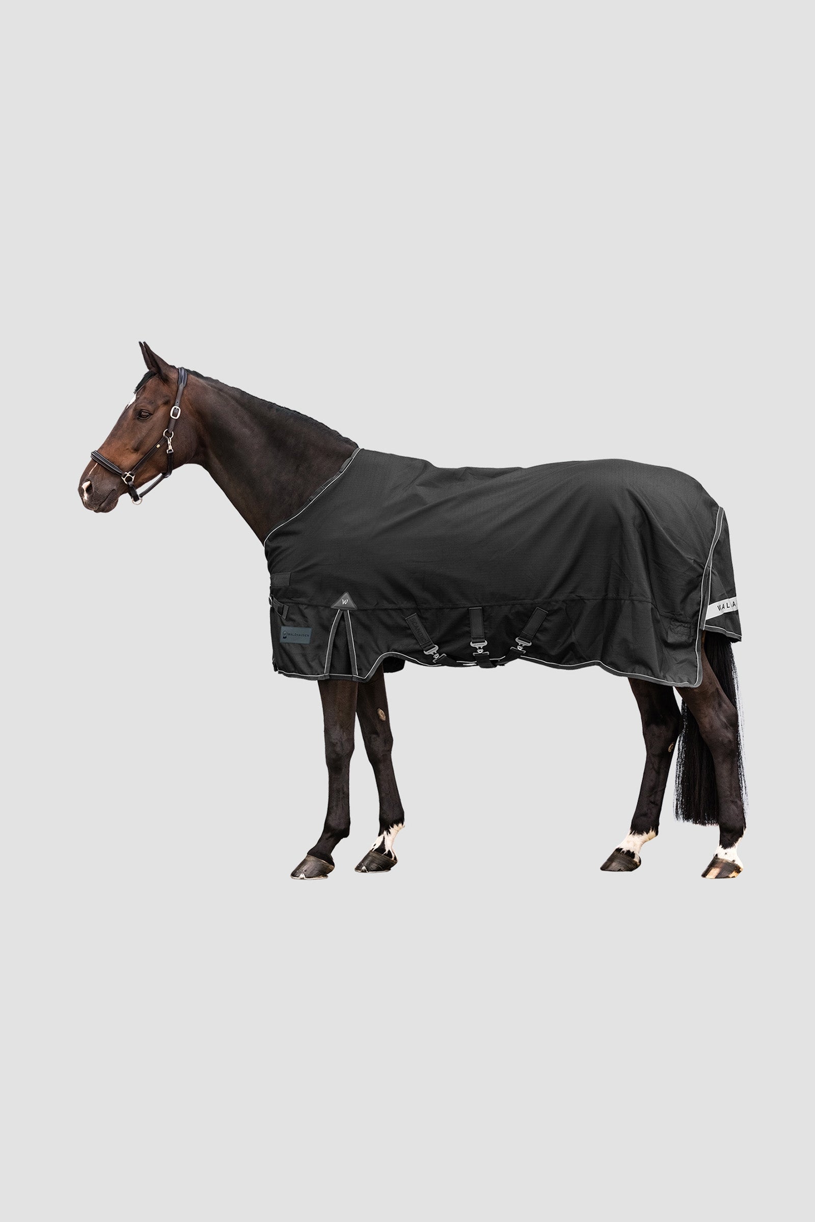 Waldhausen Outdoor Rug Scandic Light Paardendekens