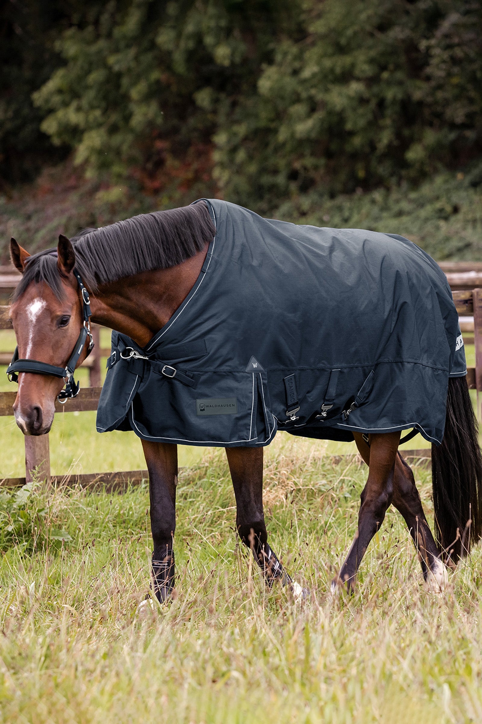 Waldhausen Outdoor Rug Scandic Light Horse Rugs