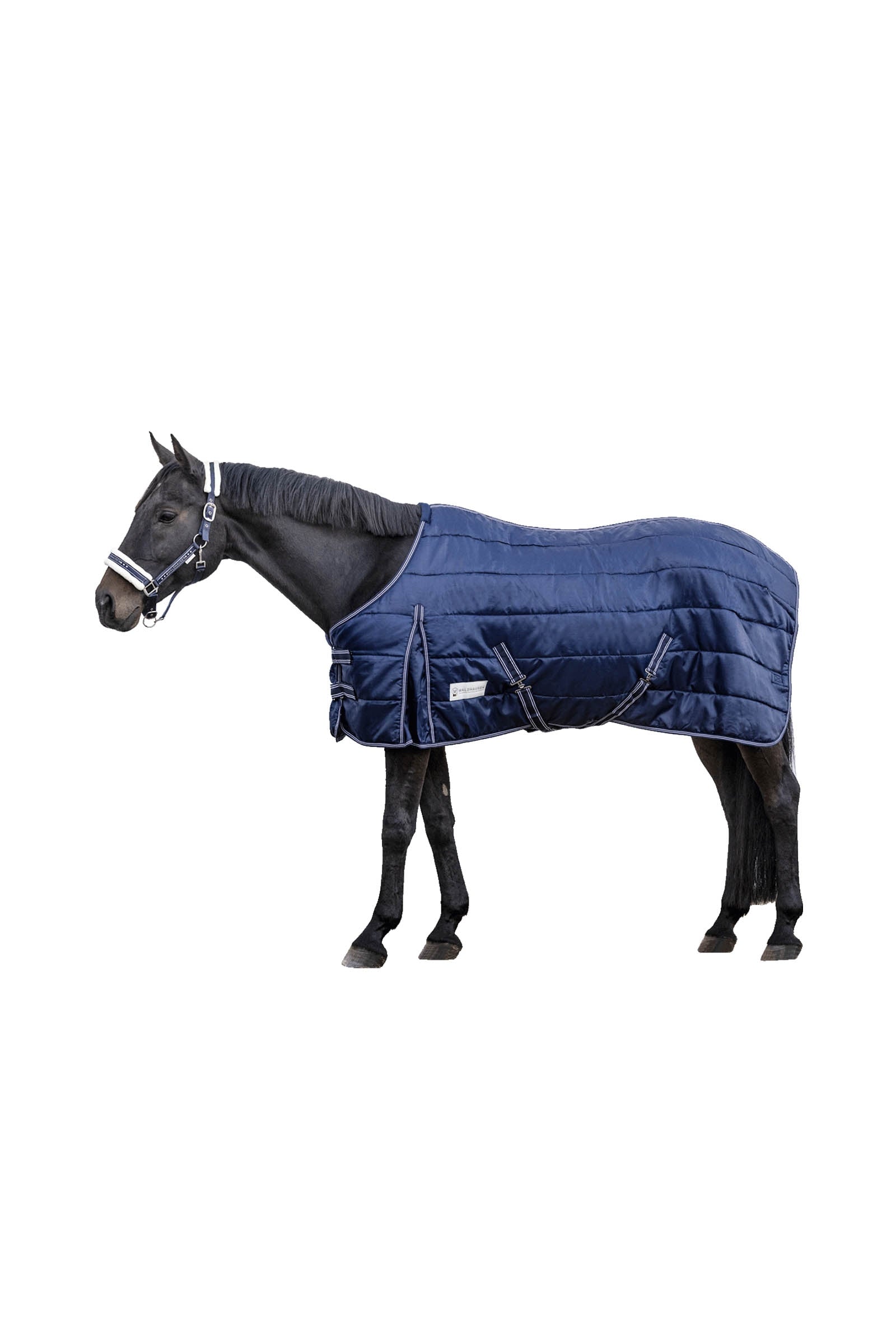 Waldhausen Stable rug Economic 200 g Paardendekens