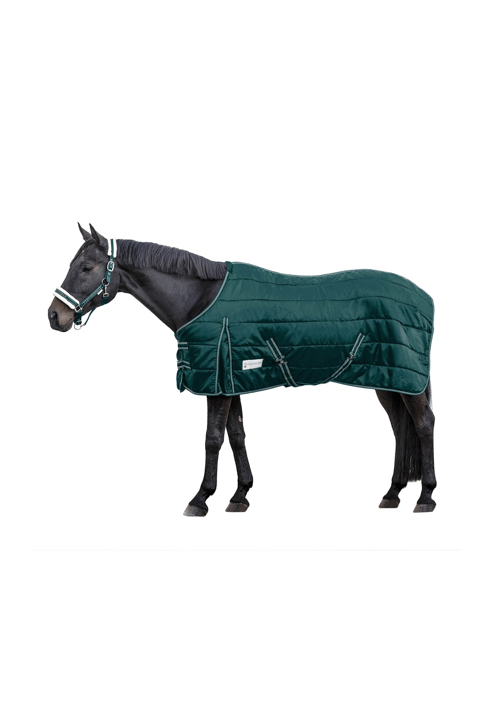 Waldhausen Stable rug Economic 200 g Horse Rugs