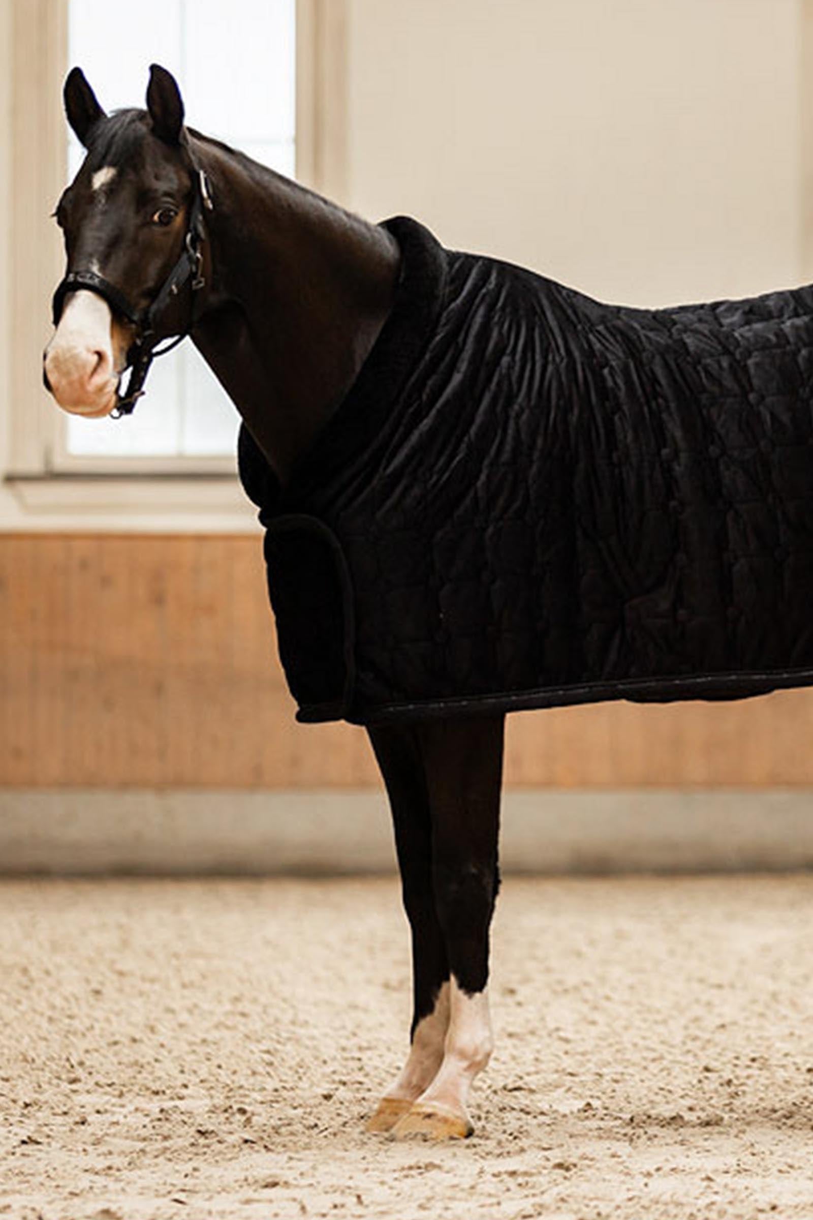 BR CLX Show Rug Horse Rugs