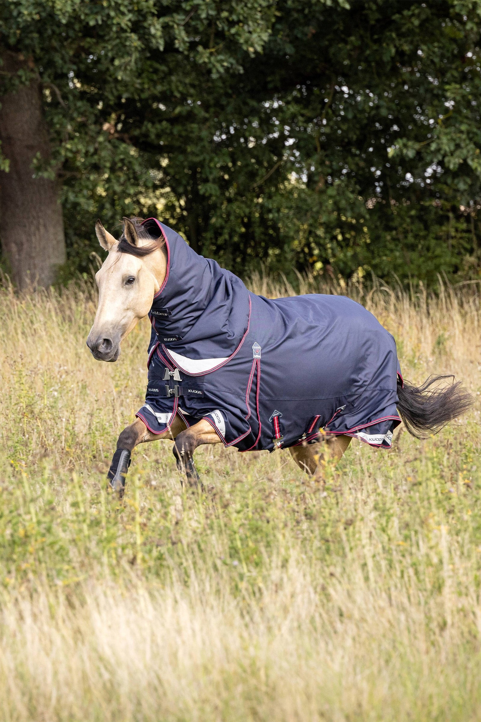 LeMieux Kudos Lightweight Turnout Rug, 50g Horse Rugs