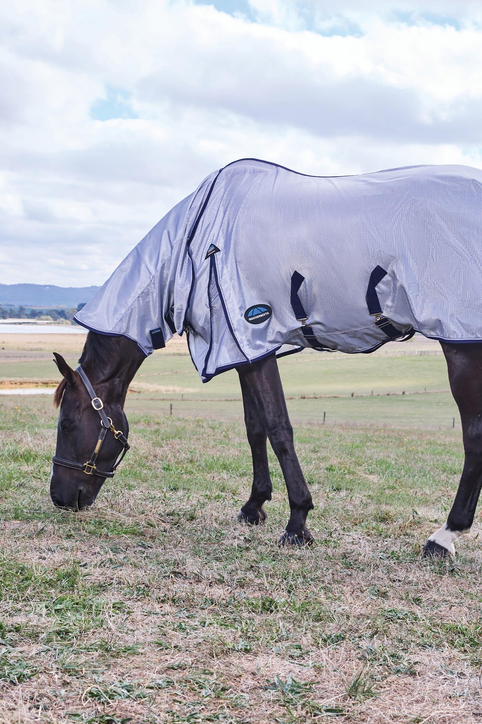 Weatherbeeta Comfitec Hexi Shield Fly Sheet Combo W. Fixed Neck, 0g Horse Rugs