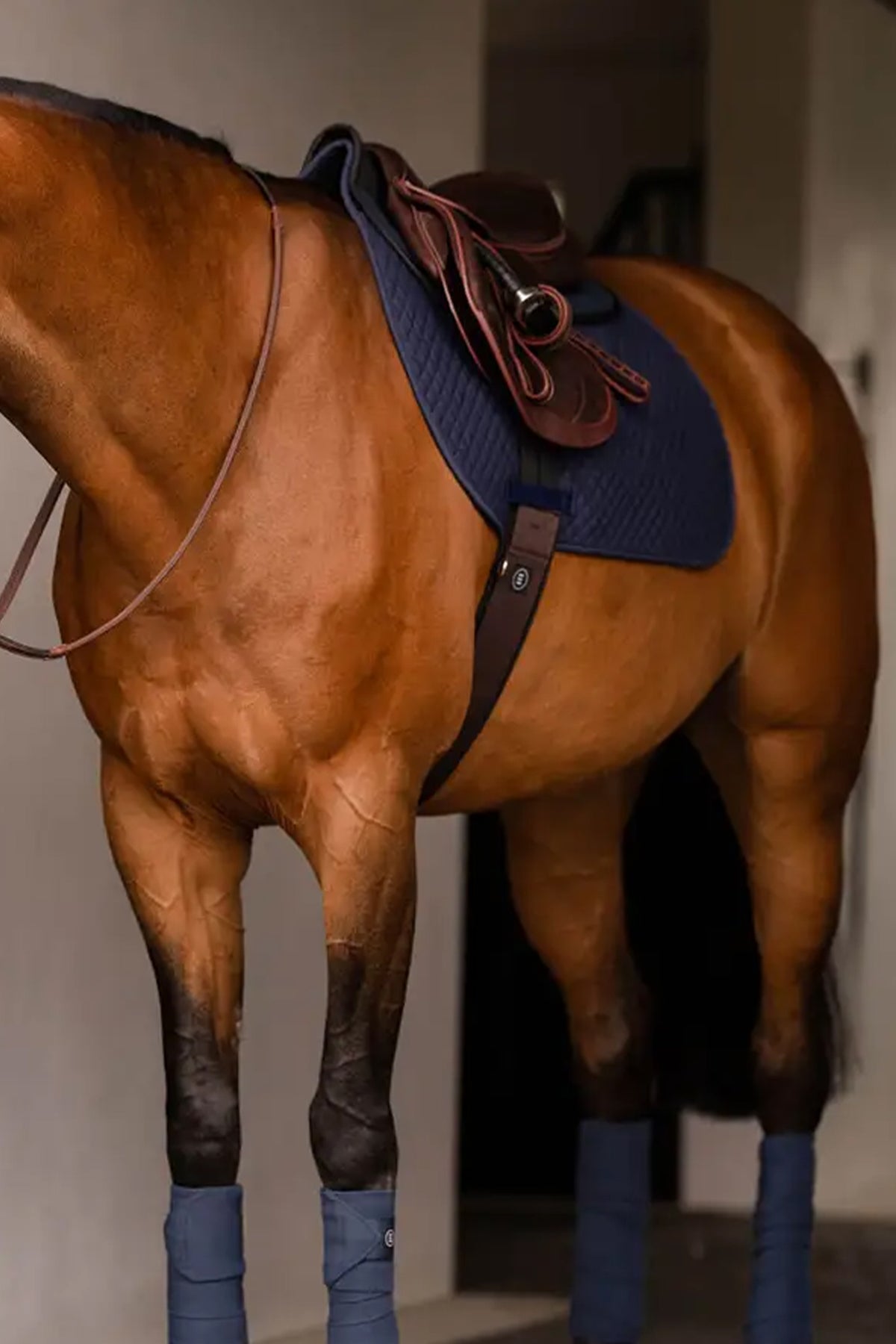 EquiFit ImpacTeq® Half Pad Saddle Pads