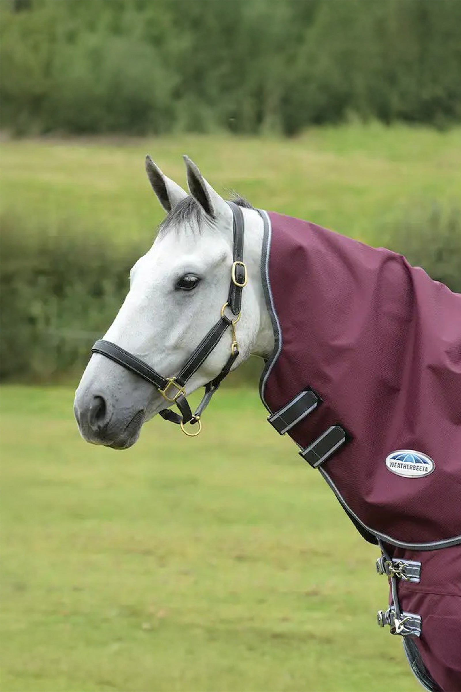 Weatherbeeta Comfitec Plus Dynamic II  Medium/Lite Neck Piece, 100g Horse Rugs