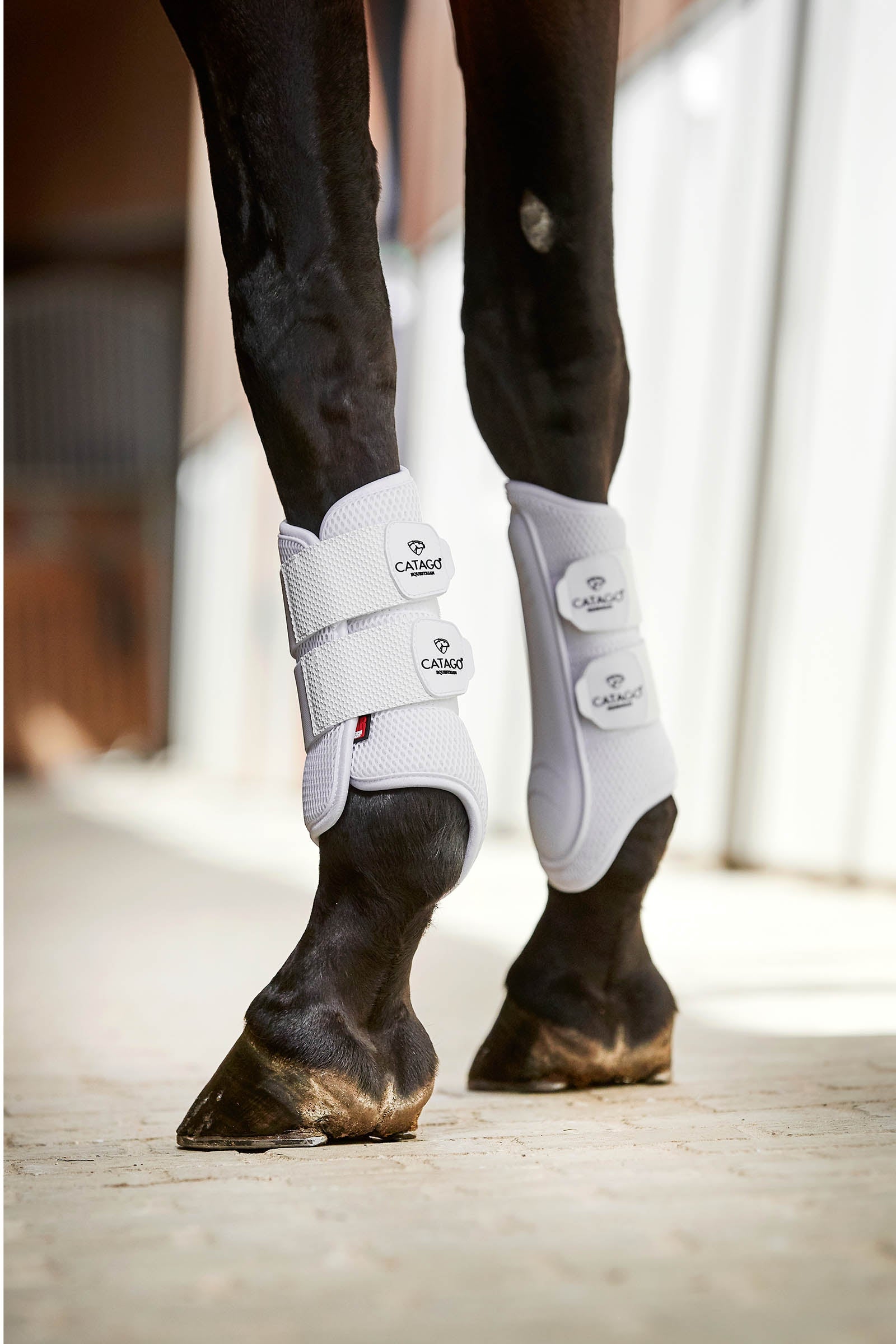 Catago Fir-Tech Training Boots Leg & Hoof Protection
