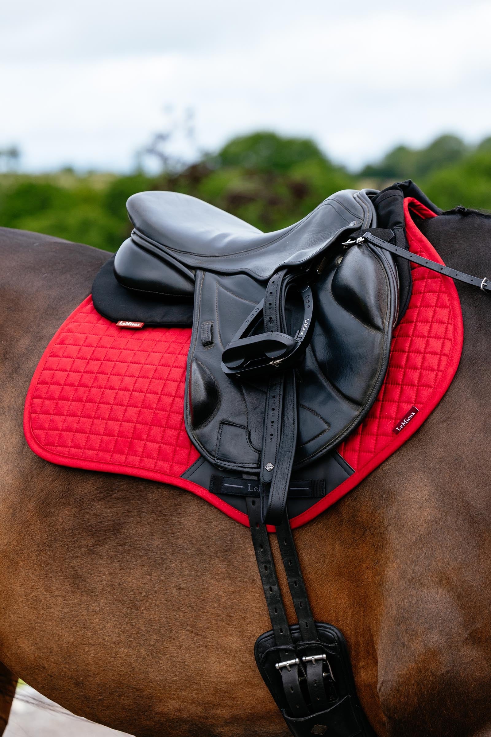 LeMieux Suede Close Contact Saddle Pad Saddle Pads
