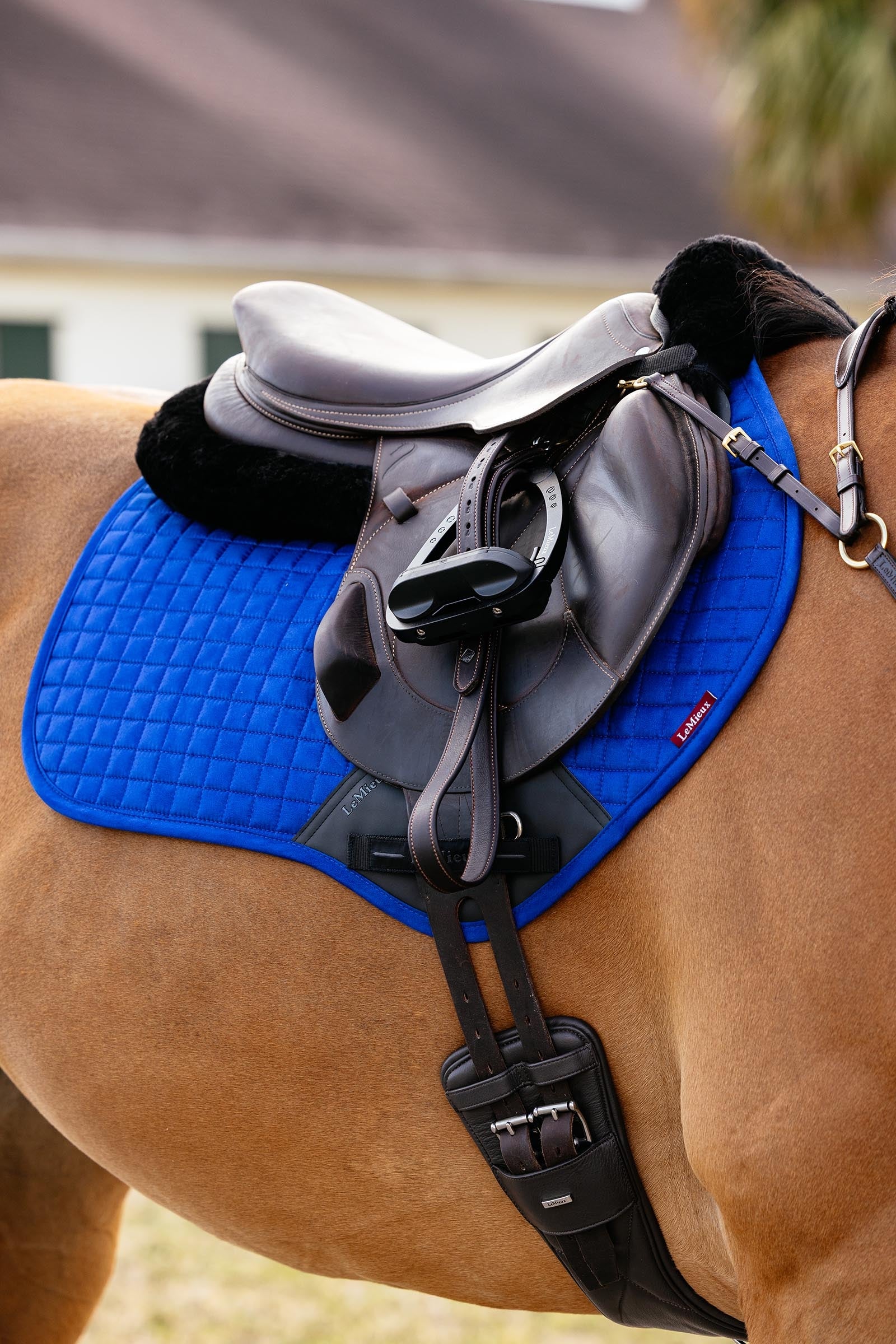 LeMieux Suede Close Contact Saddle Pad Saddle Pads