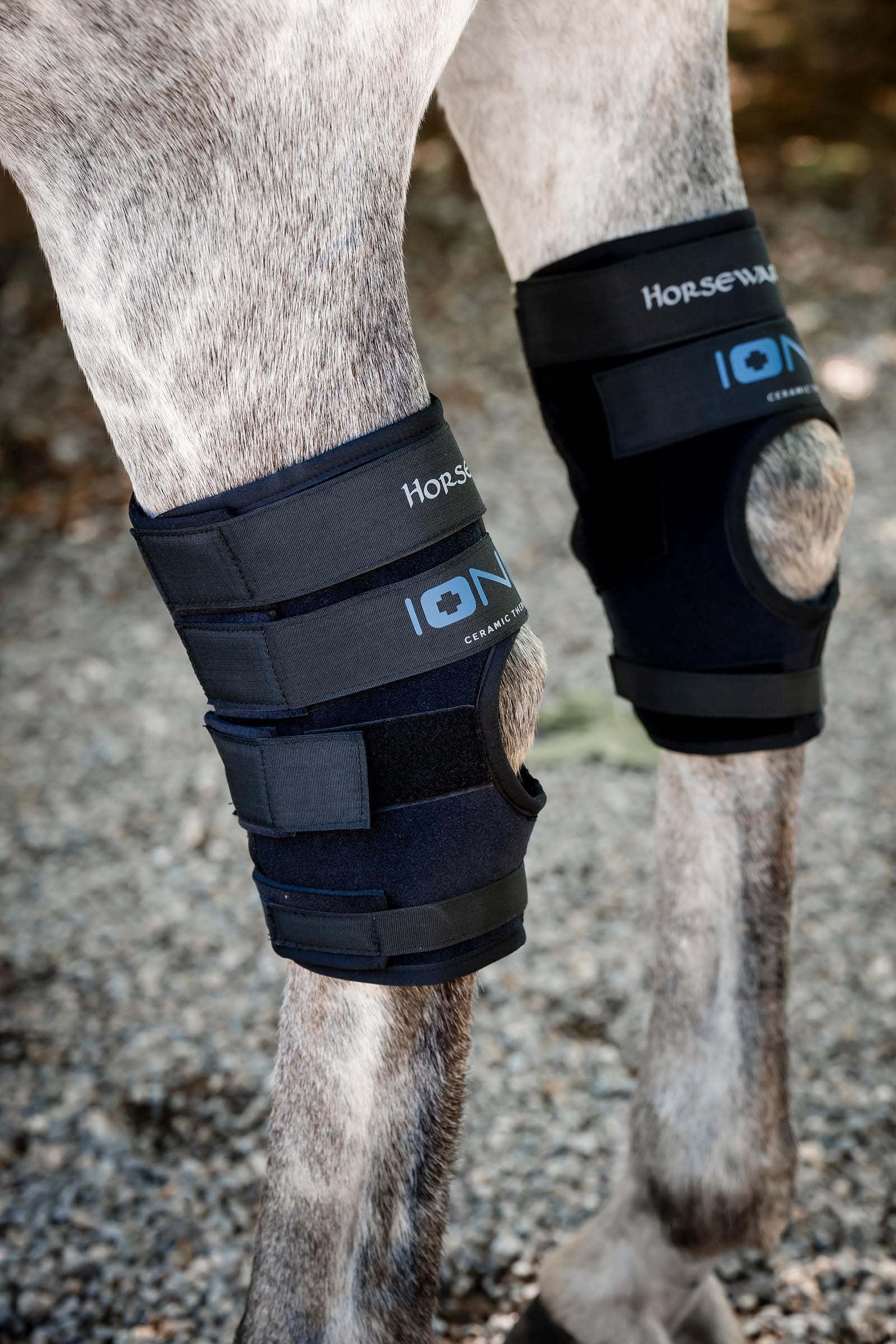 Horseware Ionic spronggewrichtbeschermers – set van 2 Leg & Hoof Protection