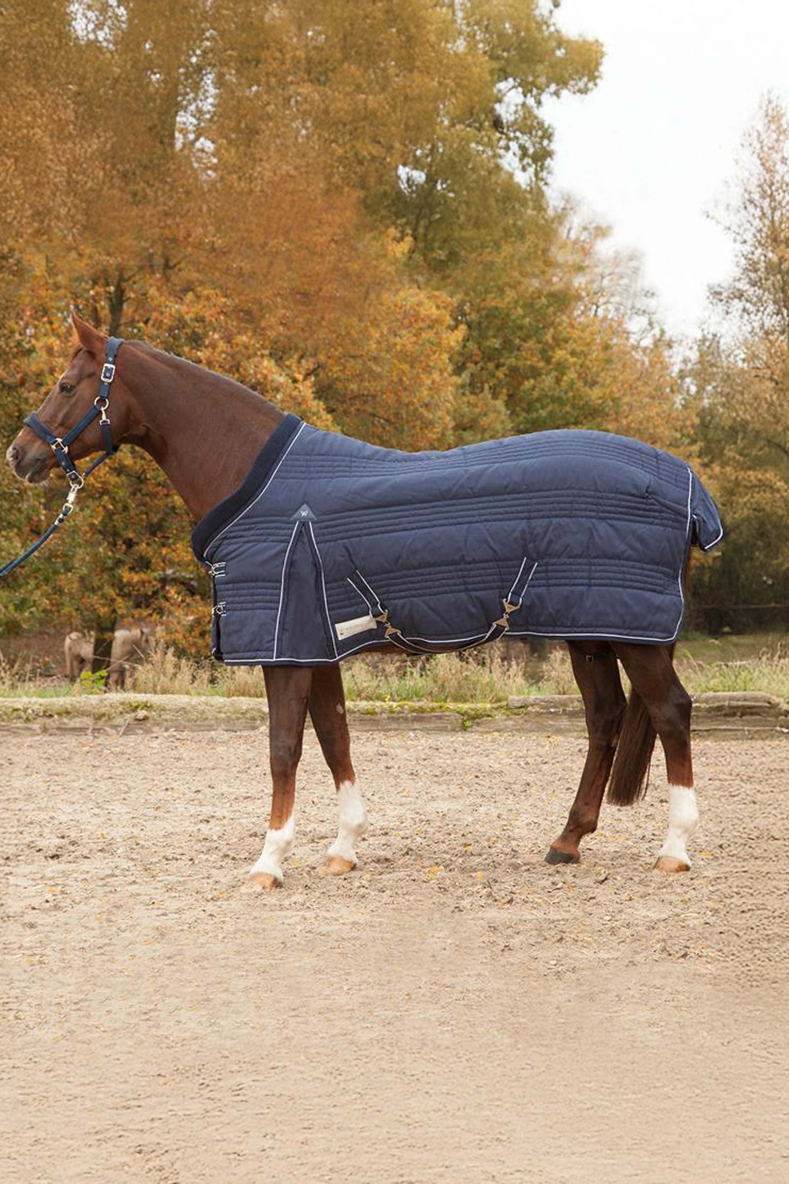 Waldhausen Stable Rug Comfort Line 100g Paardendekens