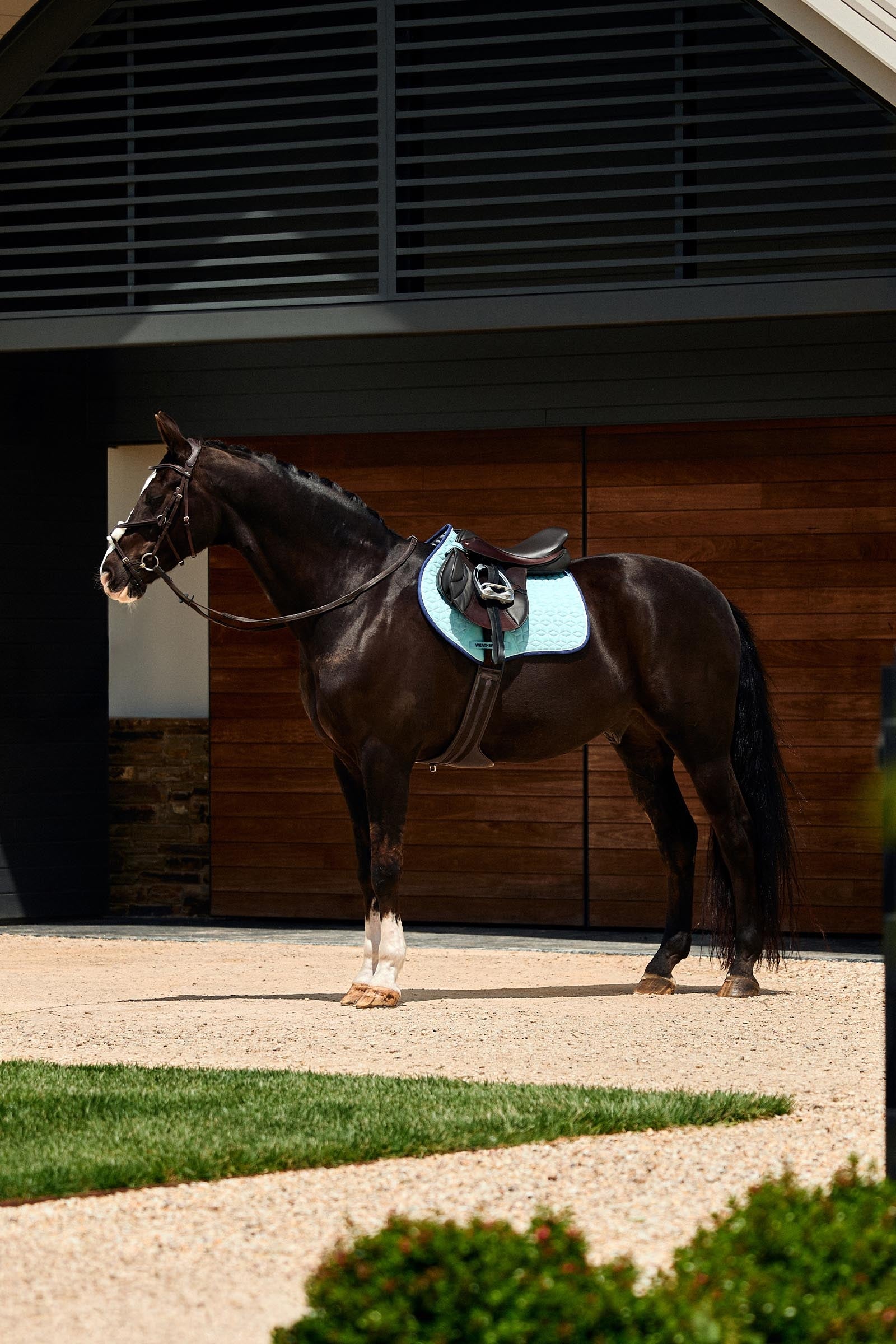 Weatherbeeta Suede Elite Air-Tec Jump Shaped Saddle Pad Saddle Pads