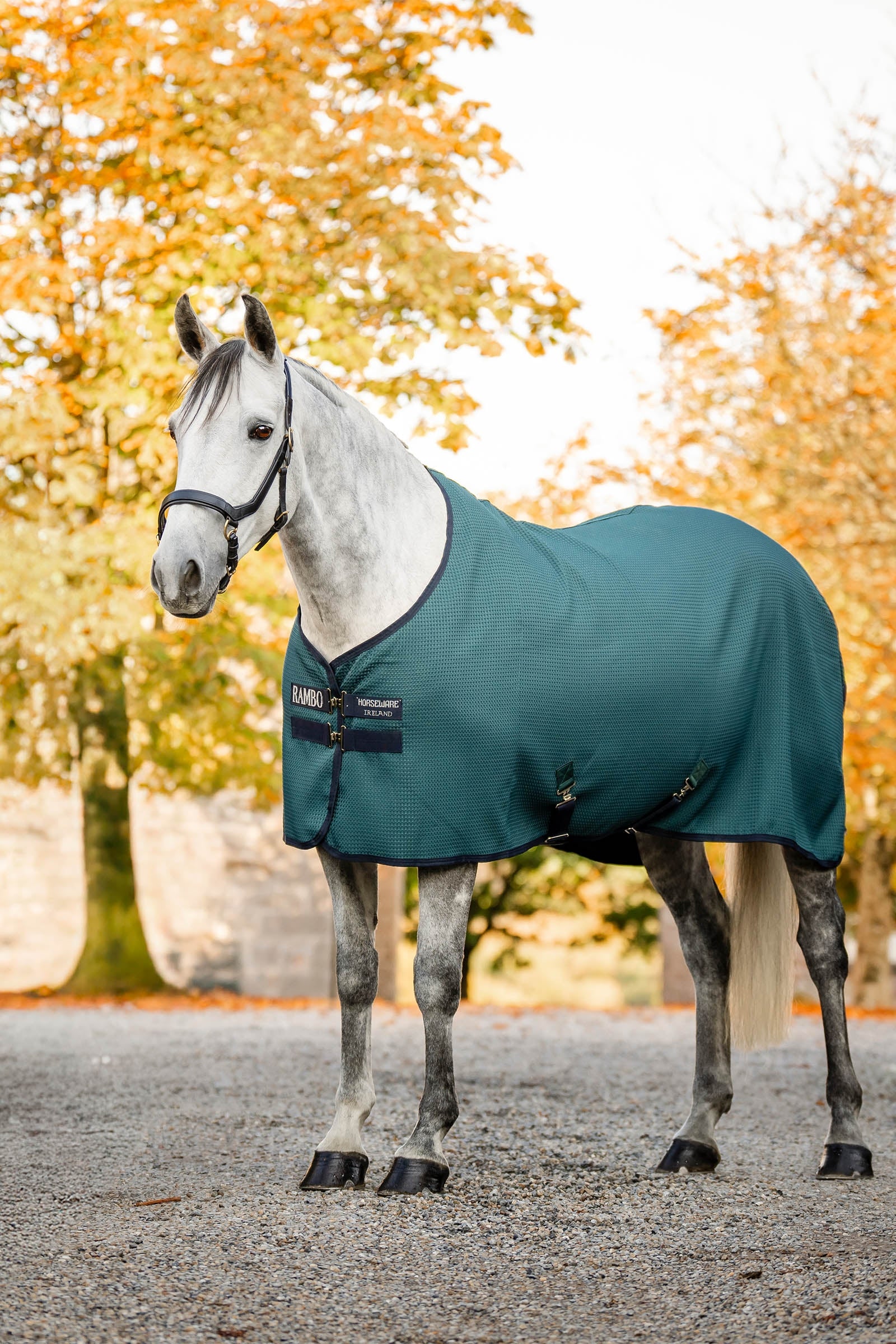 Horseware Rambo Techni Waffle zweetdeken Paardendekens