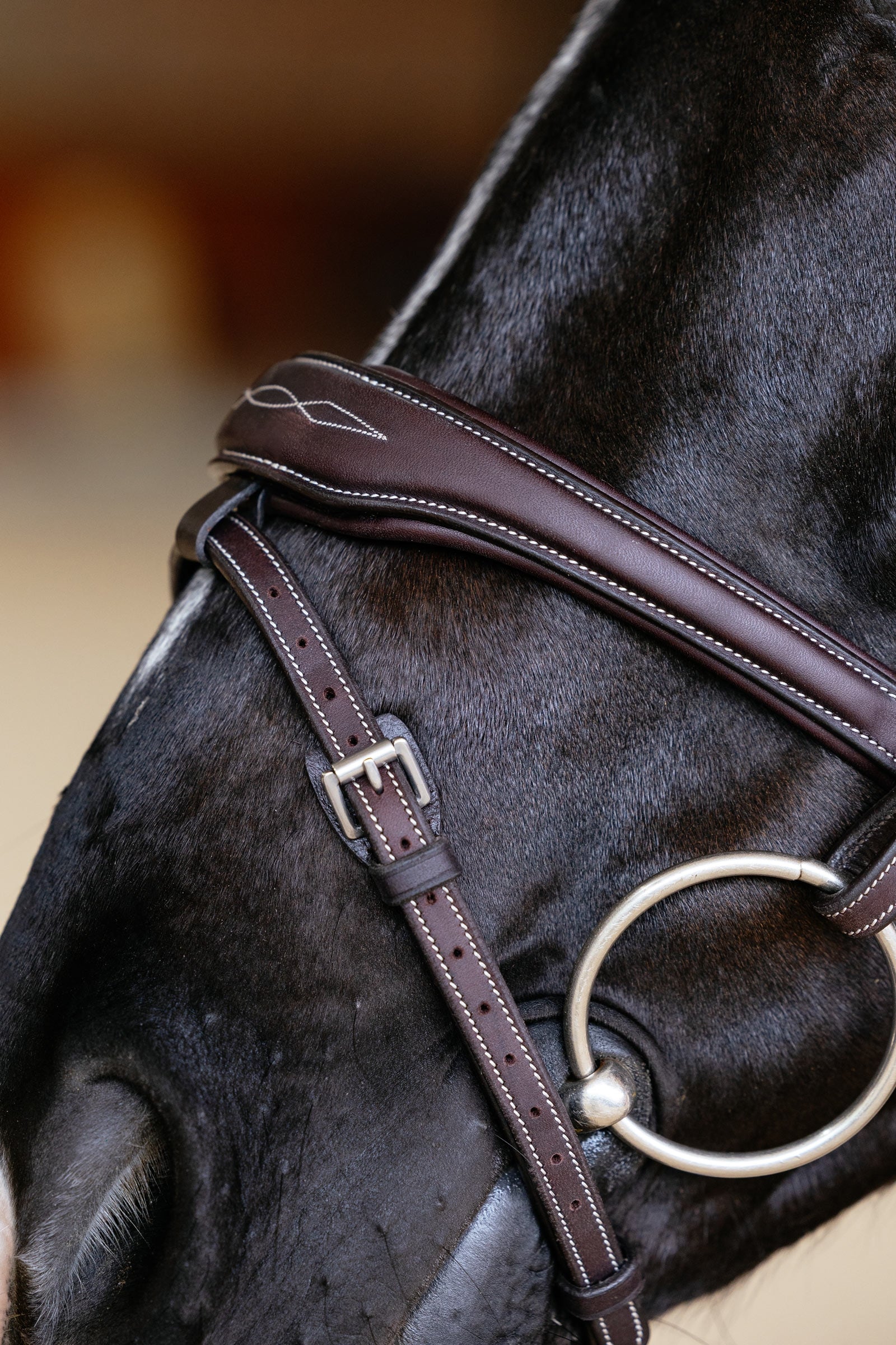 LeMieux Kudos Contour Anatomichal Flash Bridle Bridles & Reins