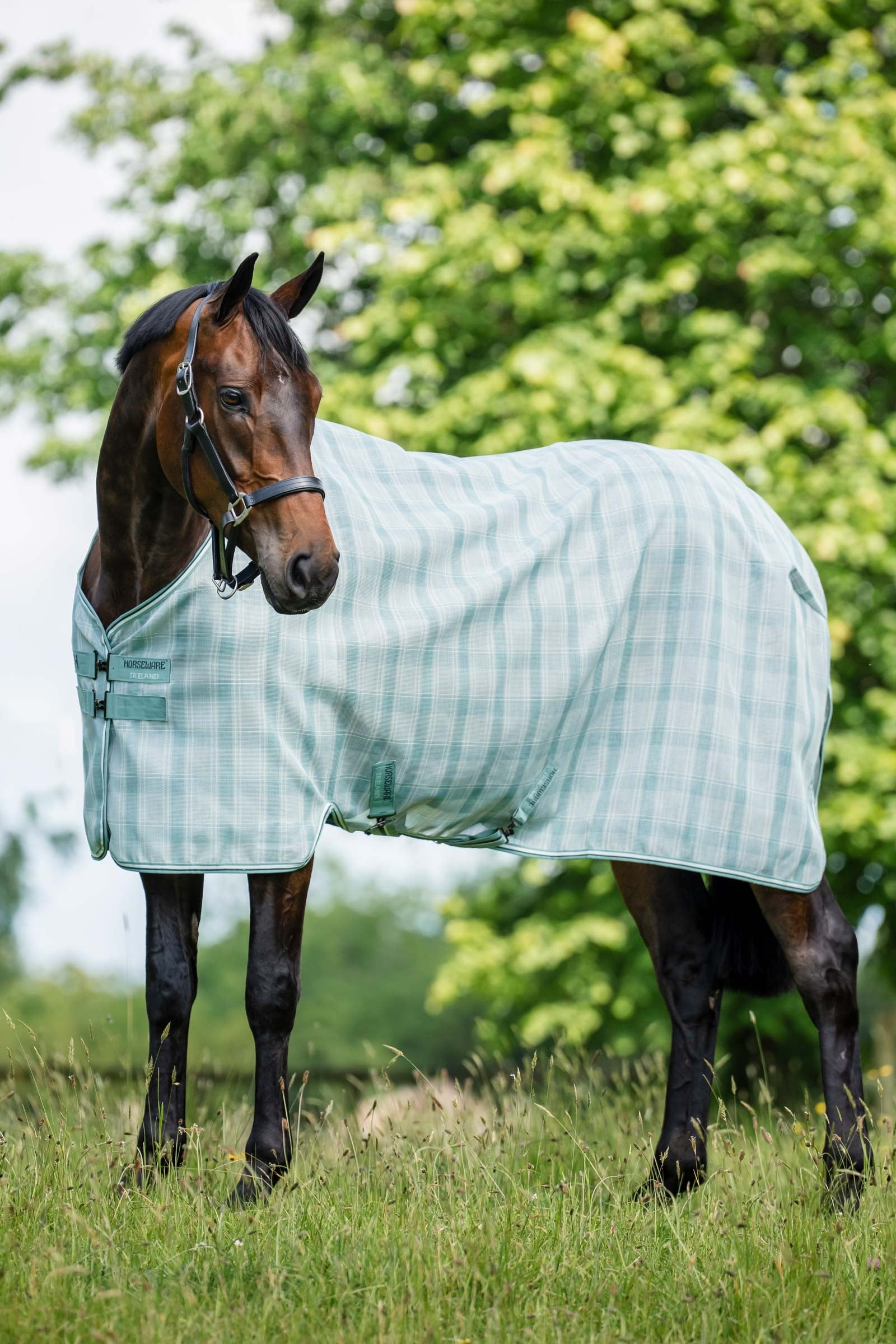 Horseware Newmarket vliegendeken met UV-bescherming Paardendekens