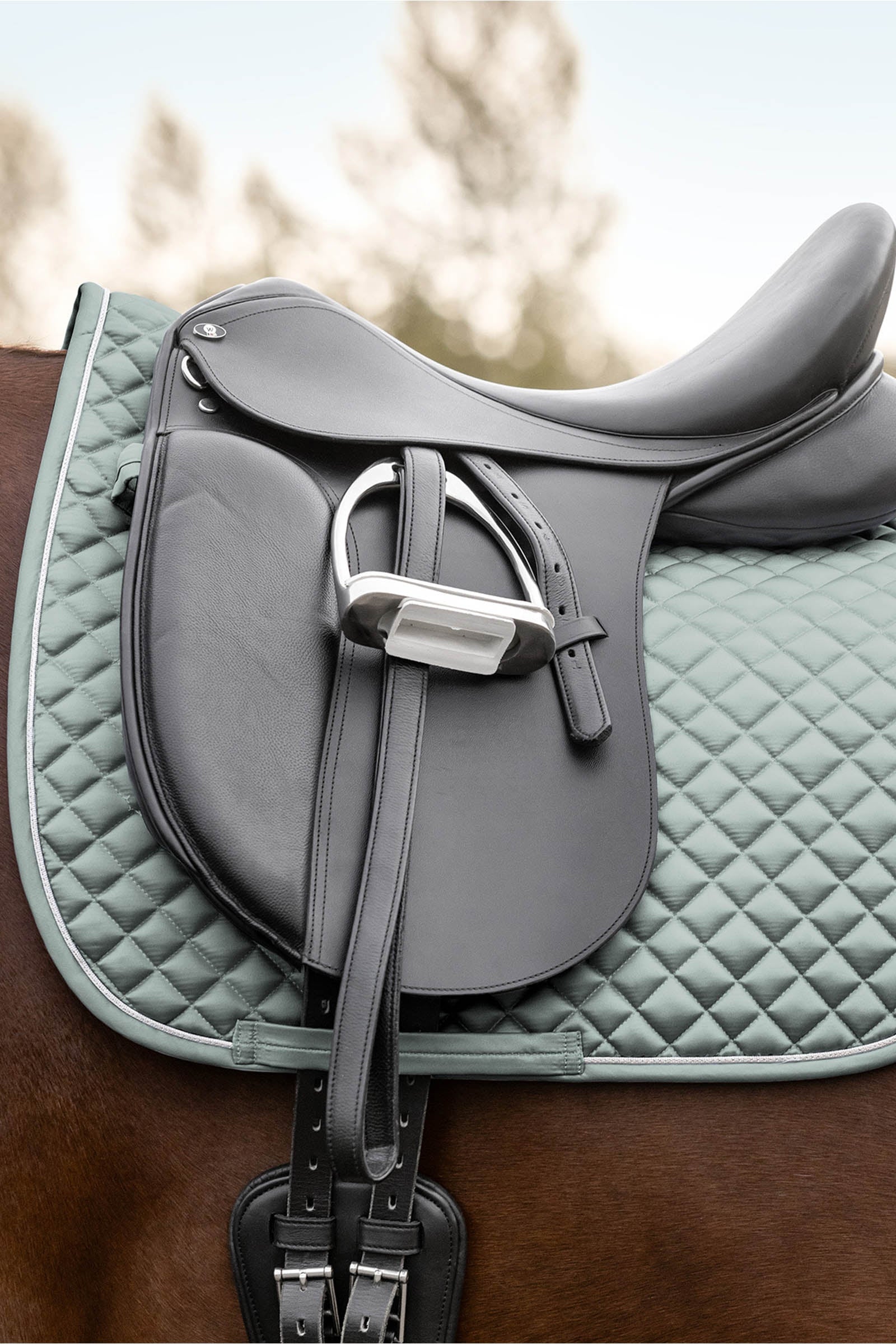 Waldhausen Felix Glam Dressage Saddle Pad Zadeldekjes