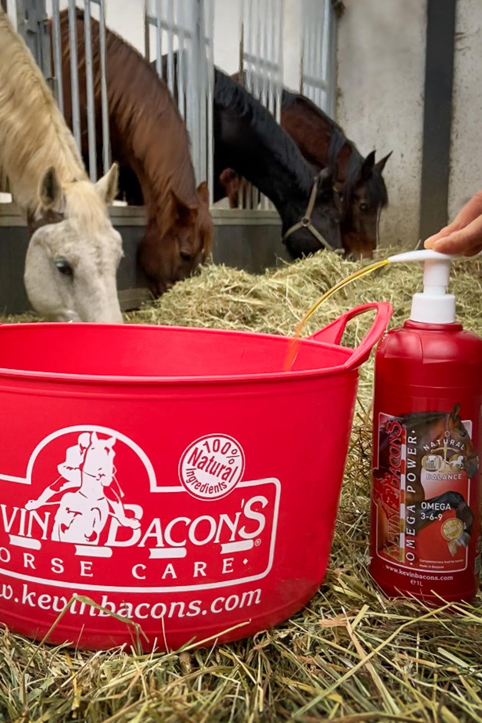 Kevin Bacon´s Kevin Bacon's Omega Power, Vitality & Energy, 1000 ml Horse Feed & Nutrition