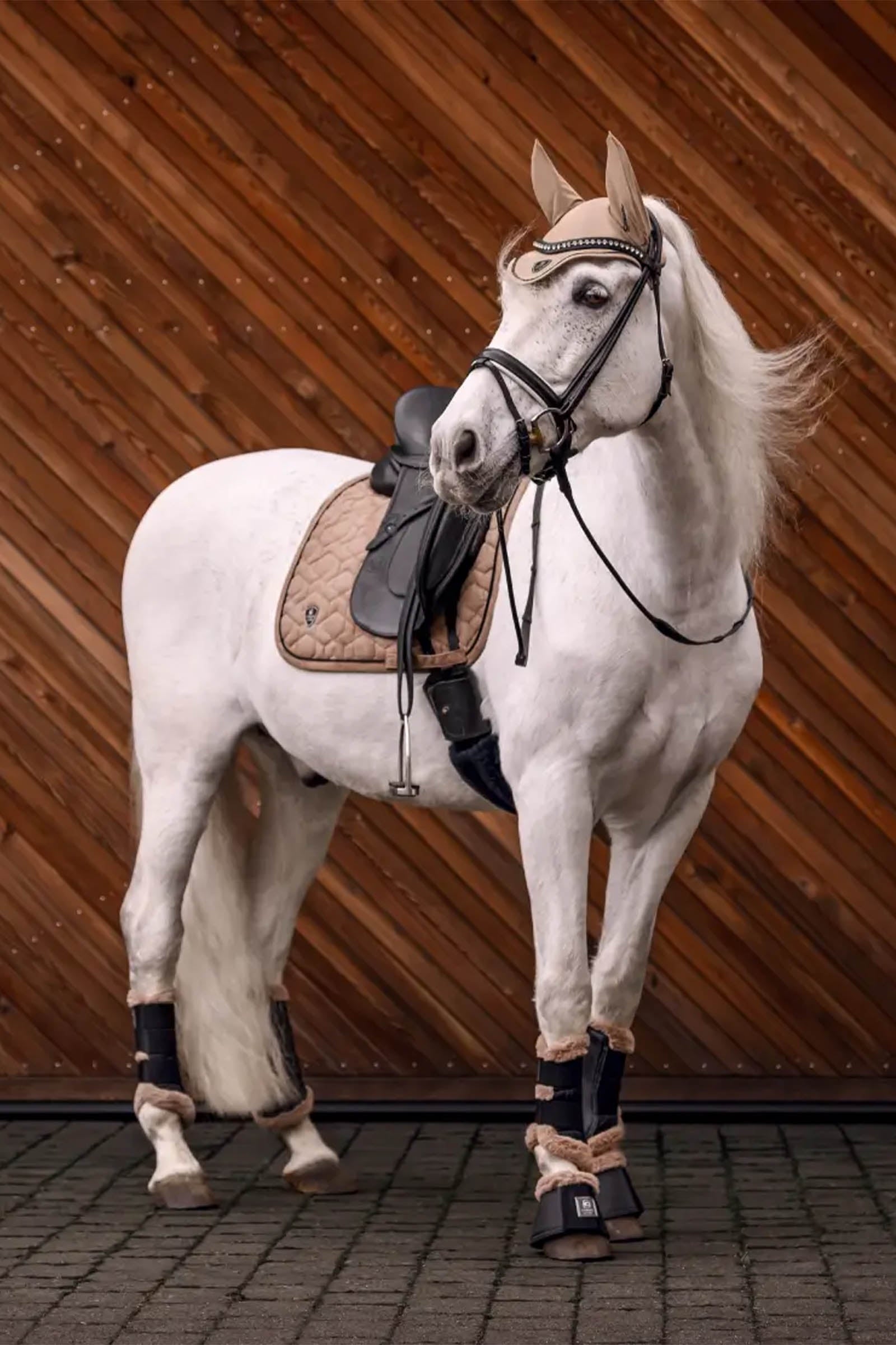 Cavallo CAVALPINO Dressage Saddle Pad Saddle Pads