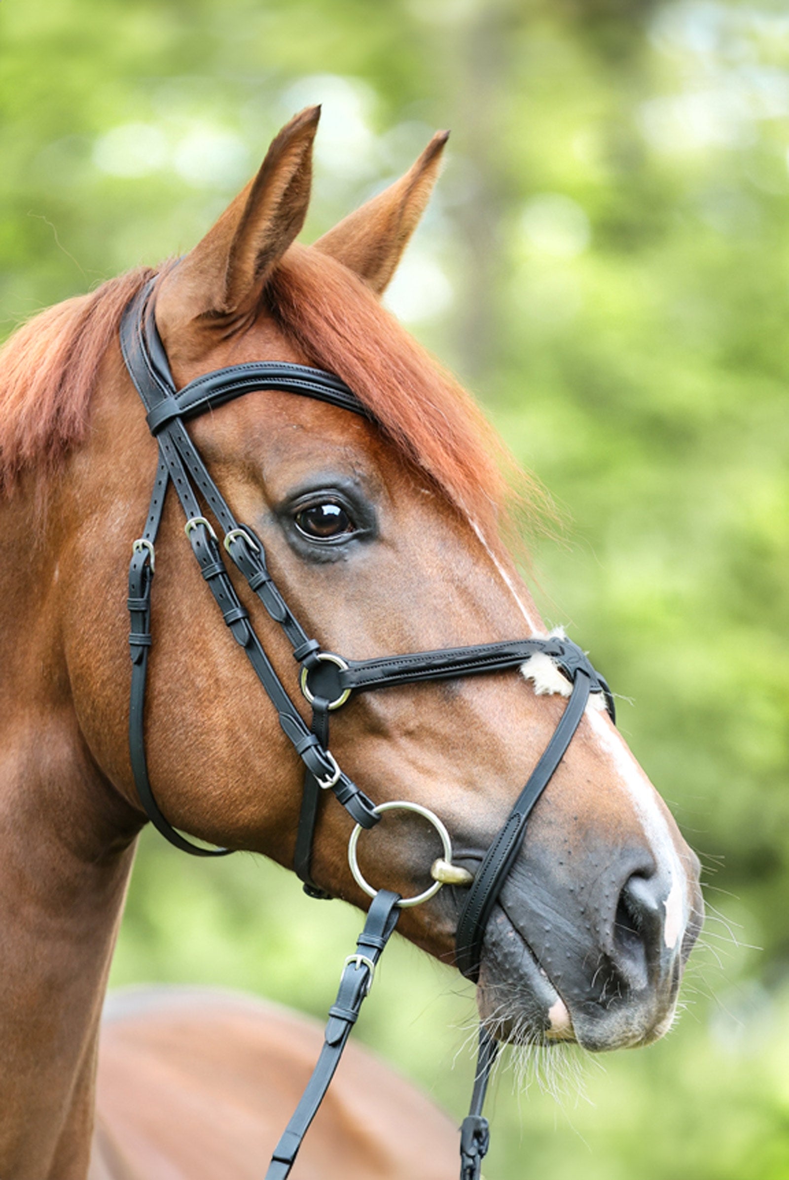 Kavalkade Bridle Everado mexican nb. Bridles & Reins