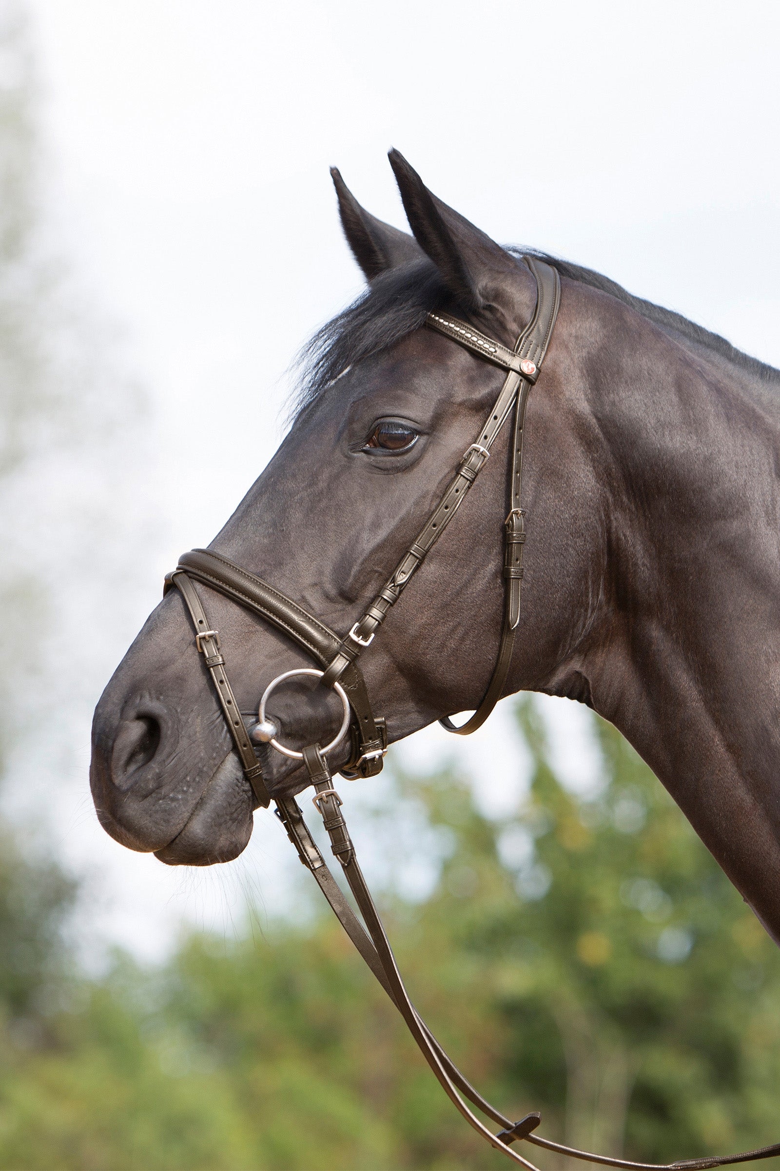 Kieffer Ultrasoft® Bridle Bridles & Reins