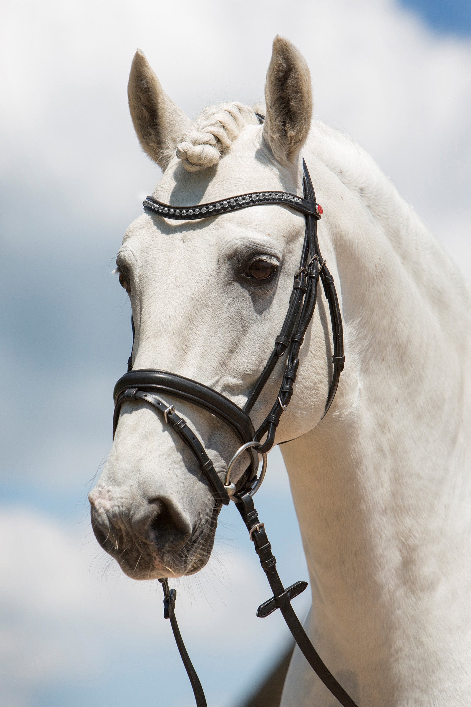 Kieffer Ultrasoft® Fashion Bridle Bridles & Reins