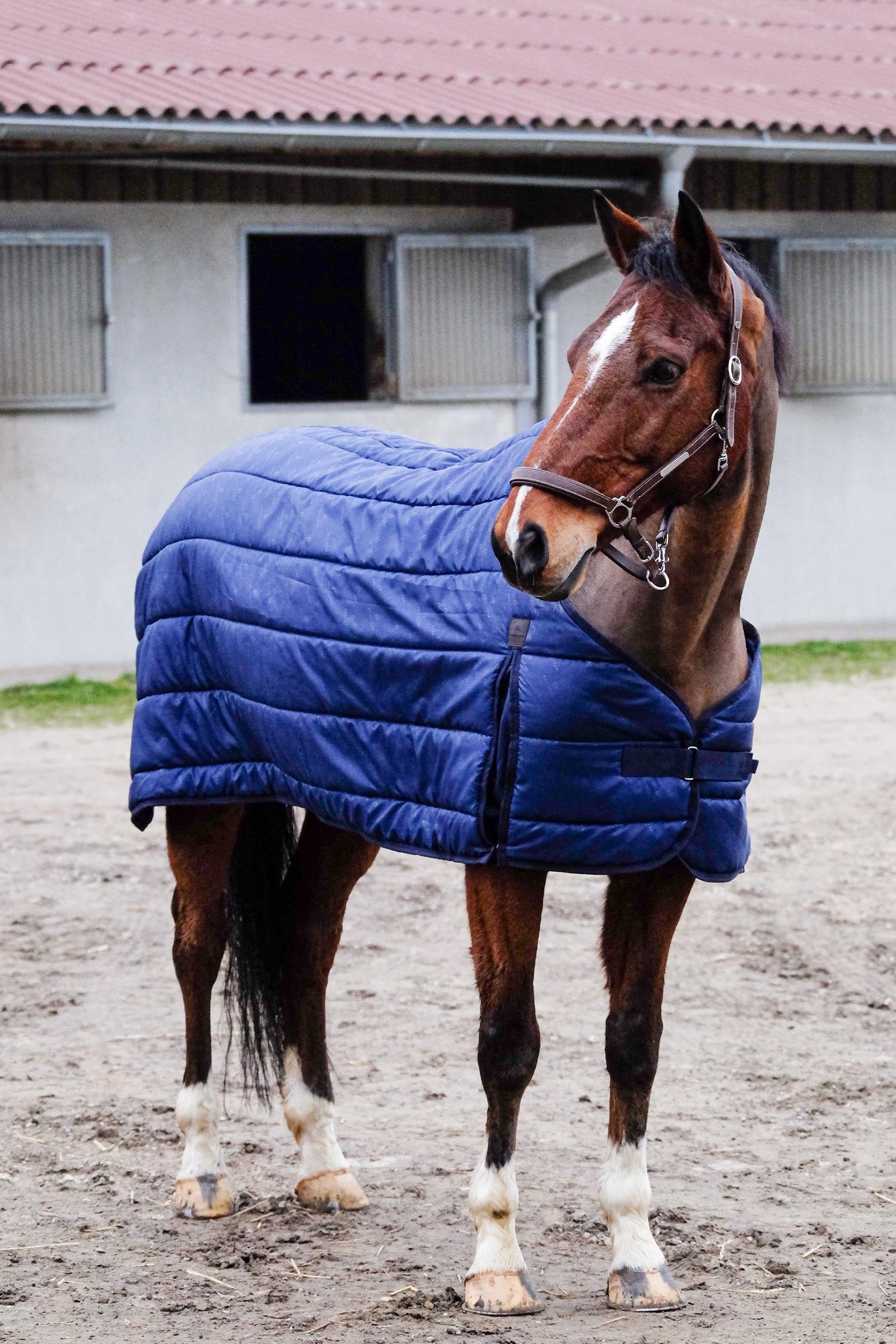 EQUITHÈME Classic onderdeken, 300 g Paardendekens